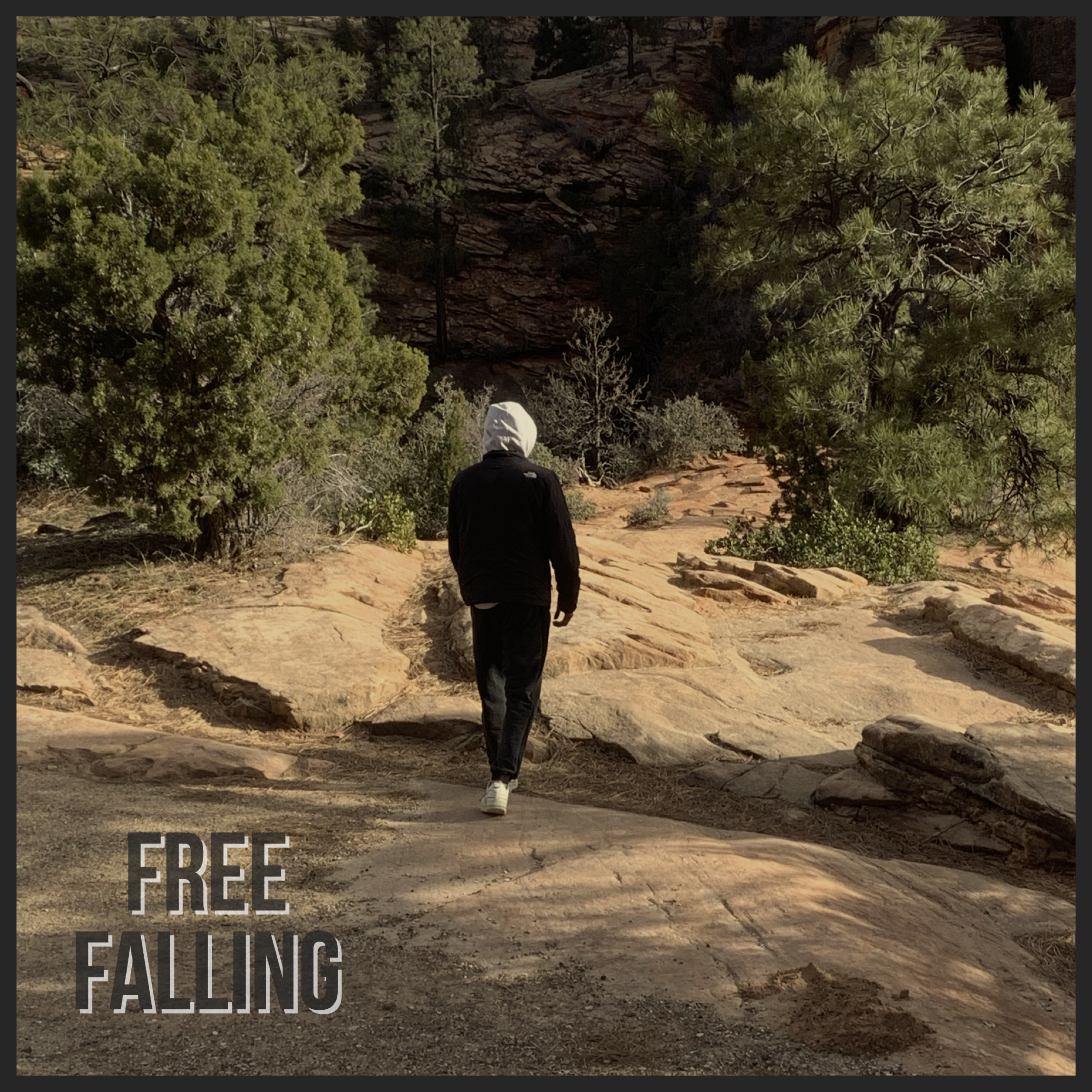 Free Falling artwork