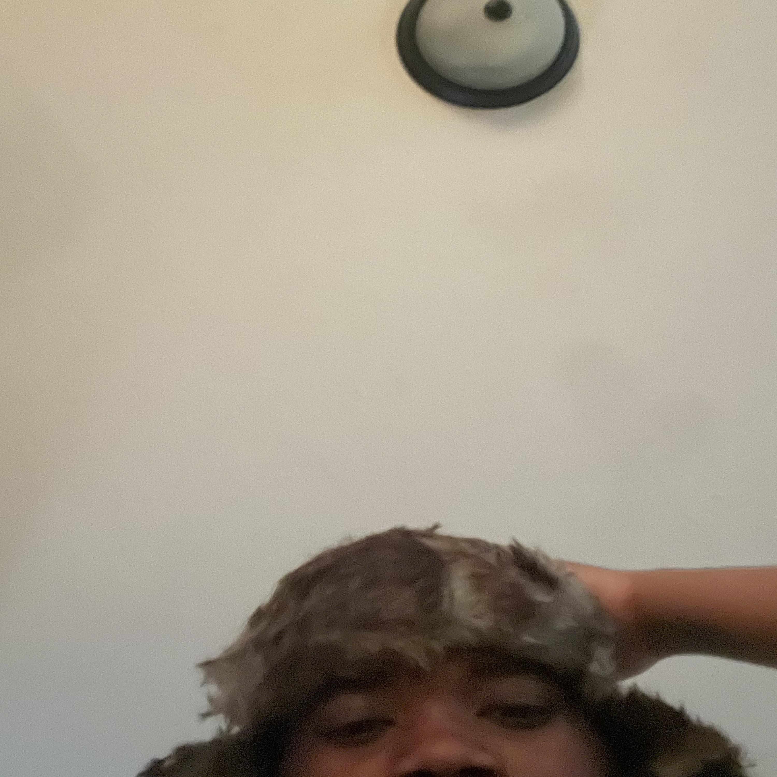 Ushanka artwork