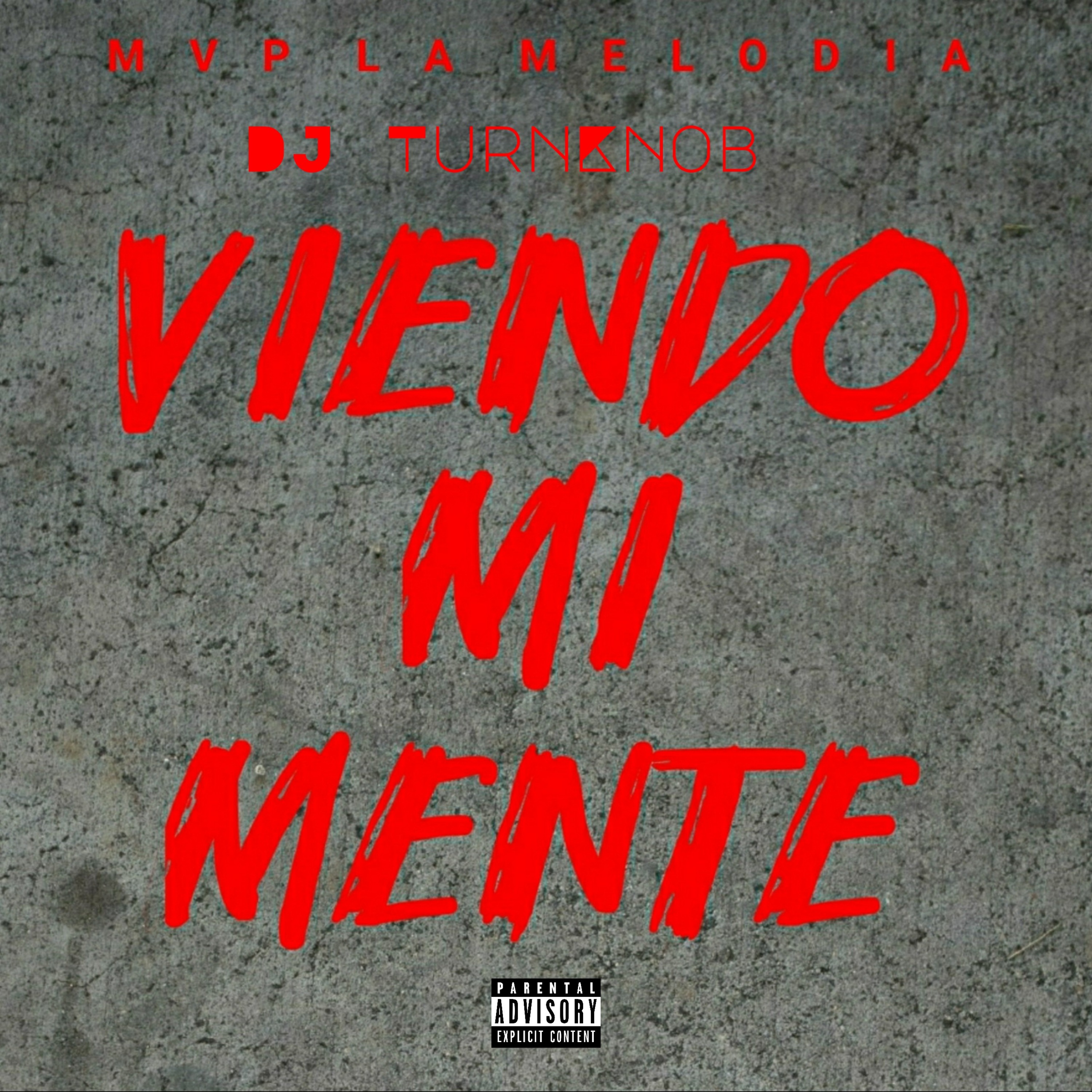 Viendo Mi Mente artwork