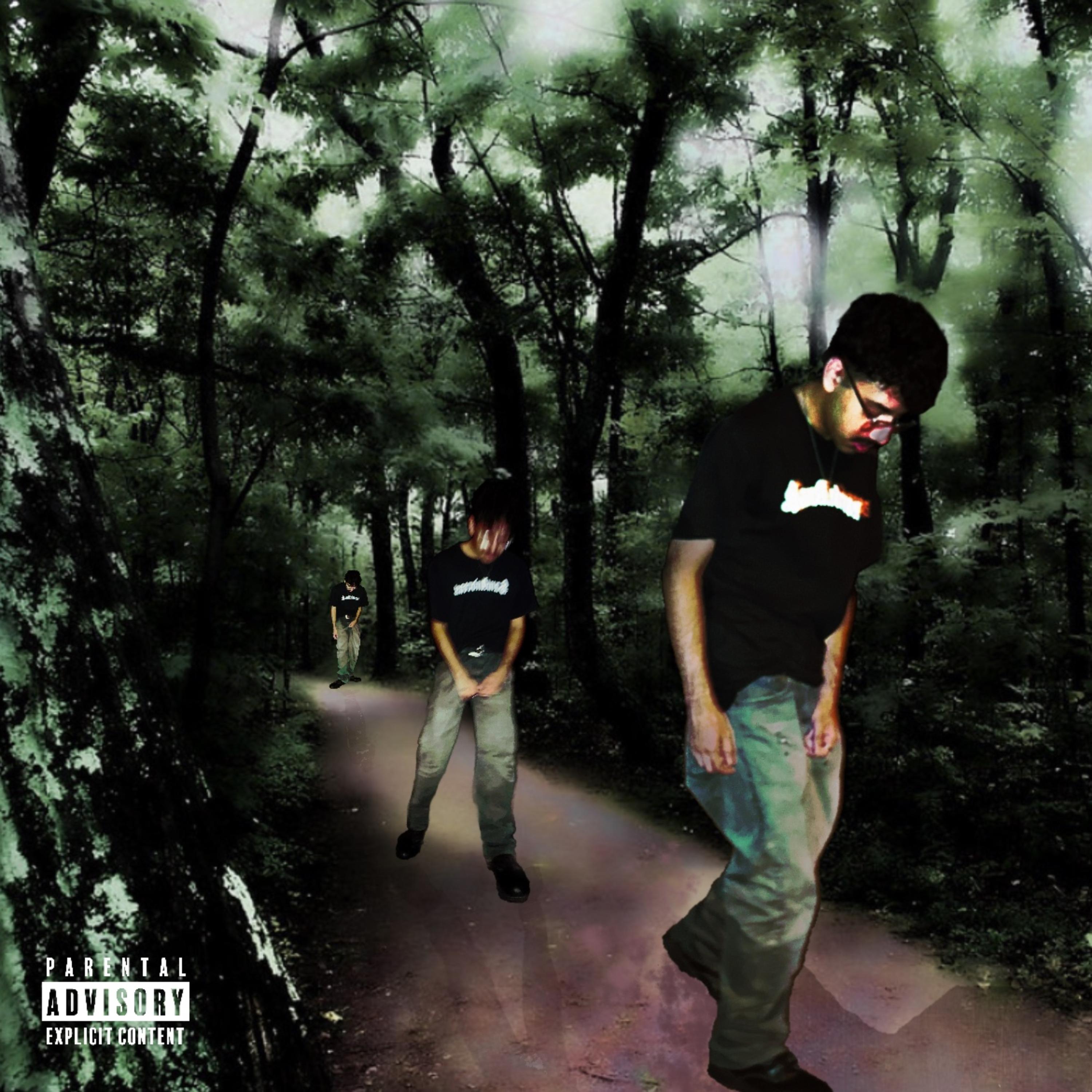 WALKALONE by RosePurpp cover art