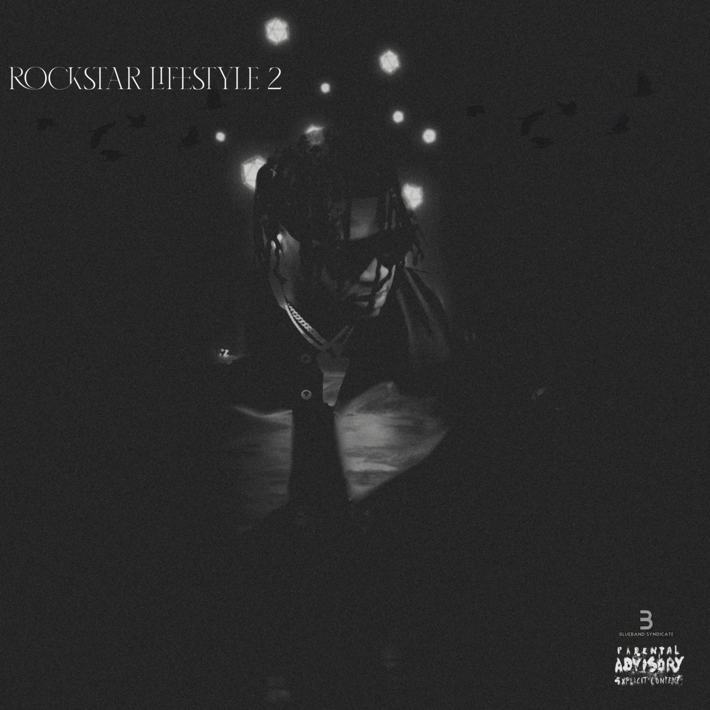 Rockstar Lifestyle 2 artwork
