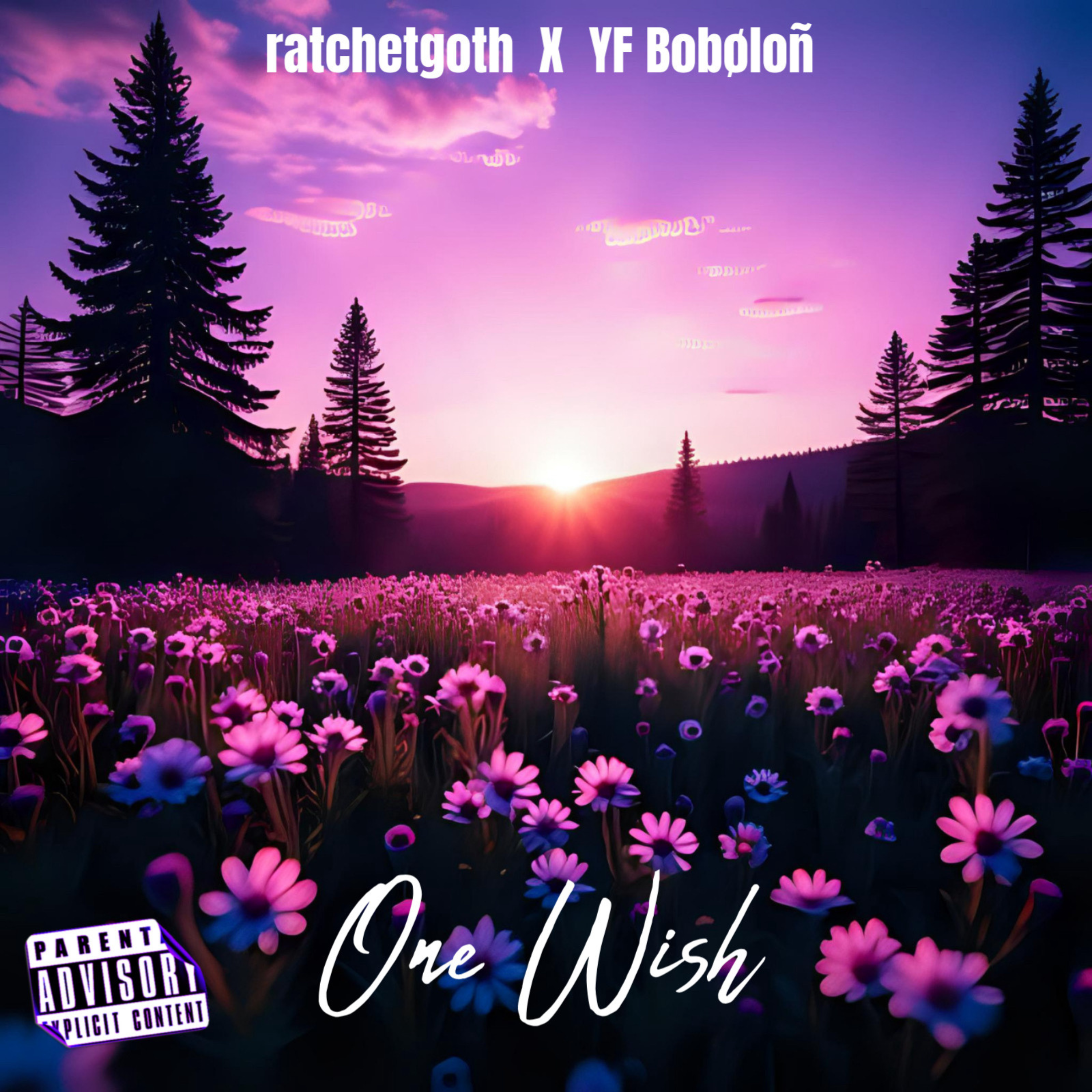 One Wish artwork