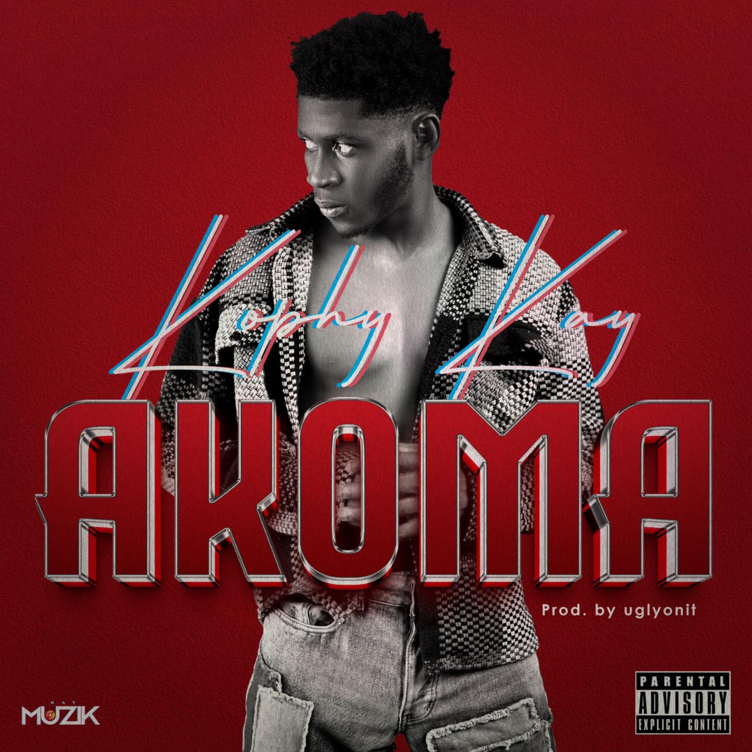 Akoma artwork