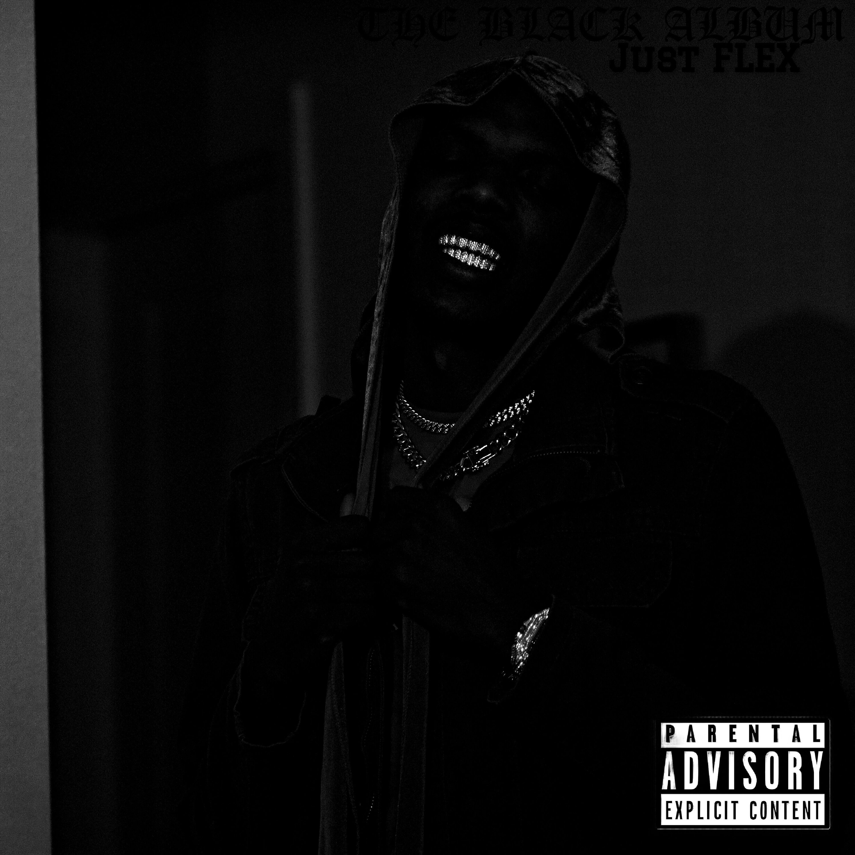 Just The BLACK Album by Just FLEX cover art