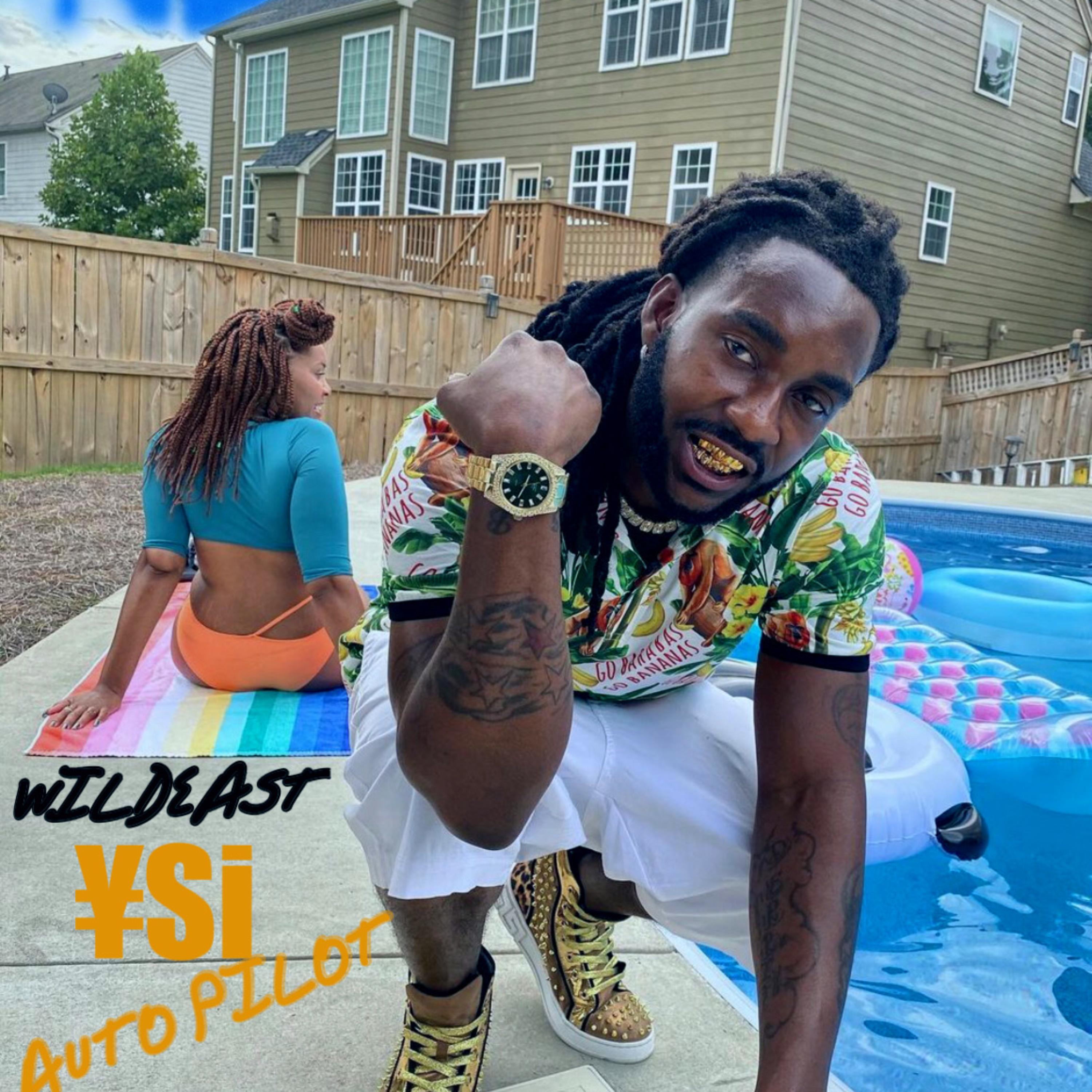 AUTO PILOT by Wildeast cover art