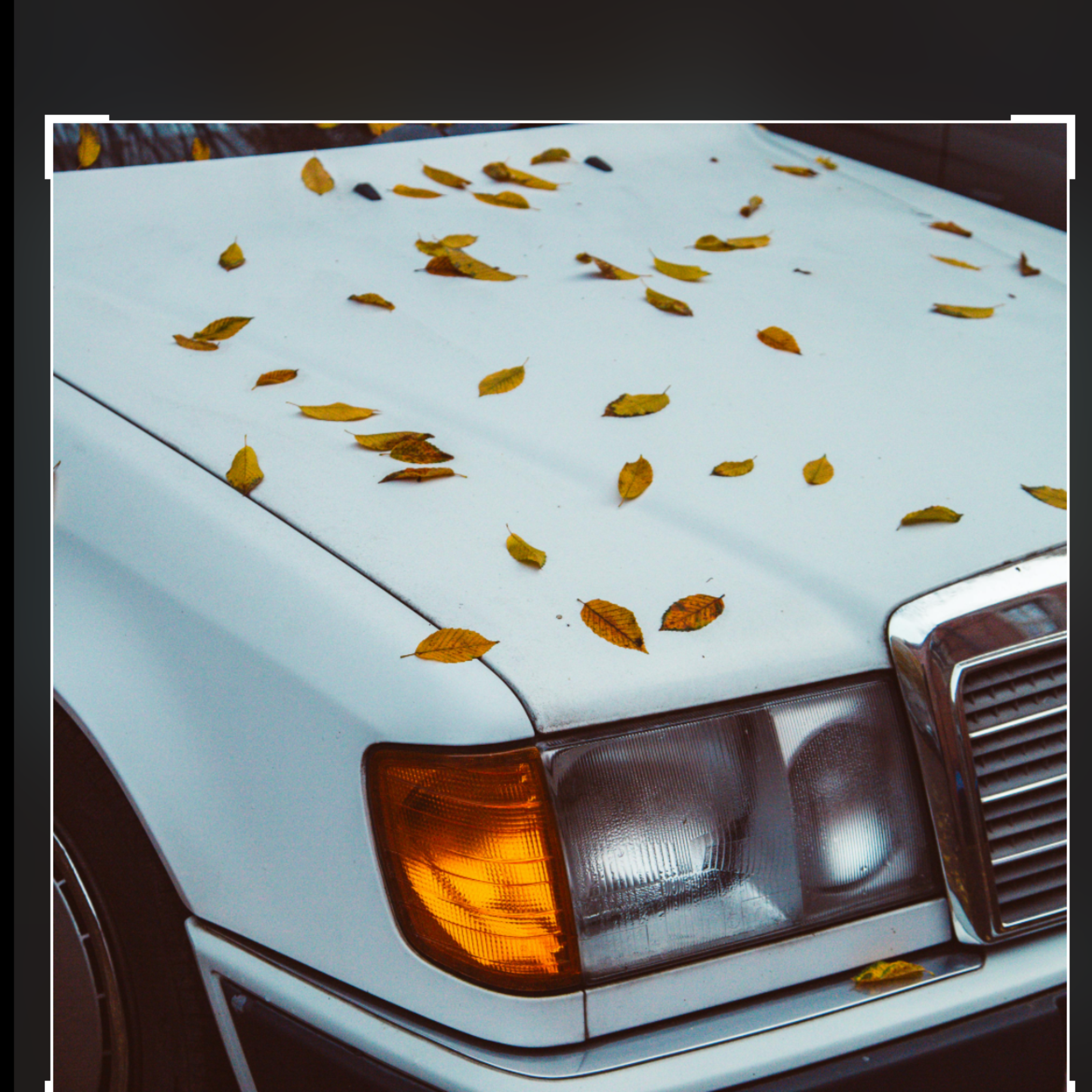 What To Do Today? artwork