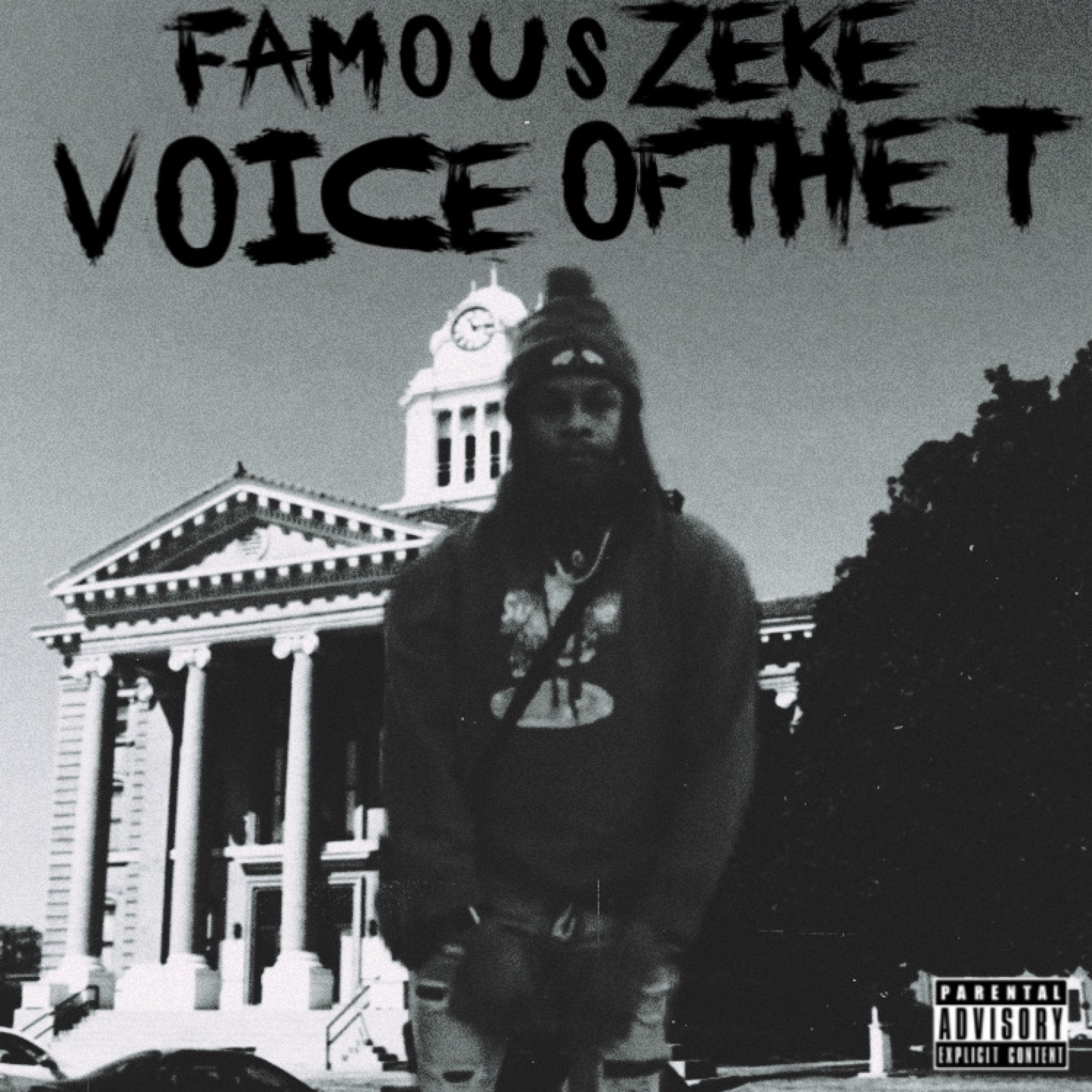 Voice Of The T artwork