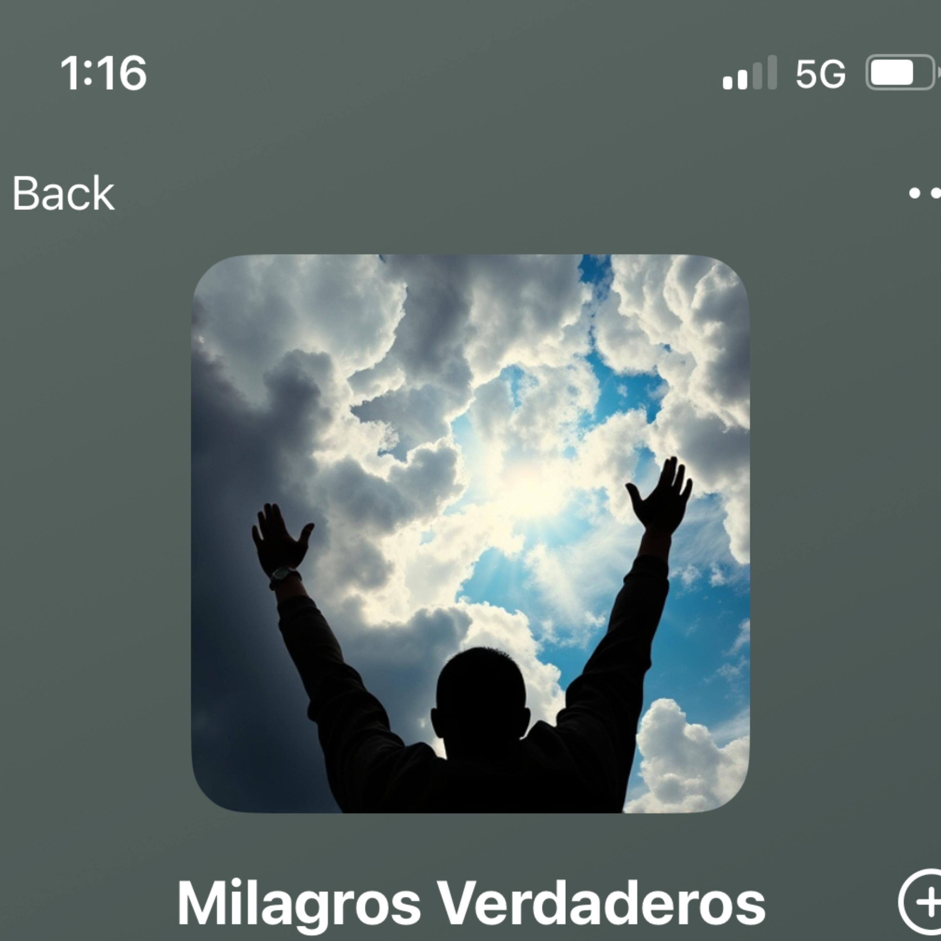 Milagros Verdaderos artwork
