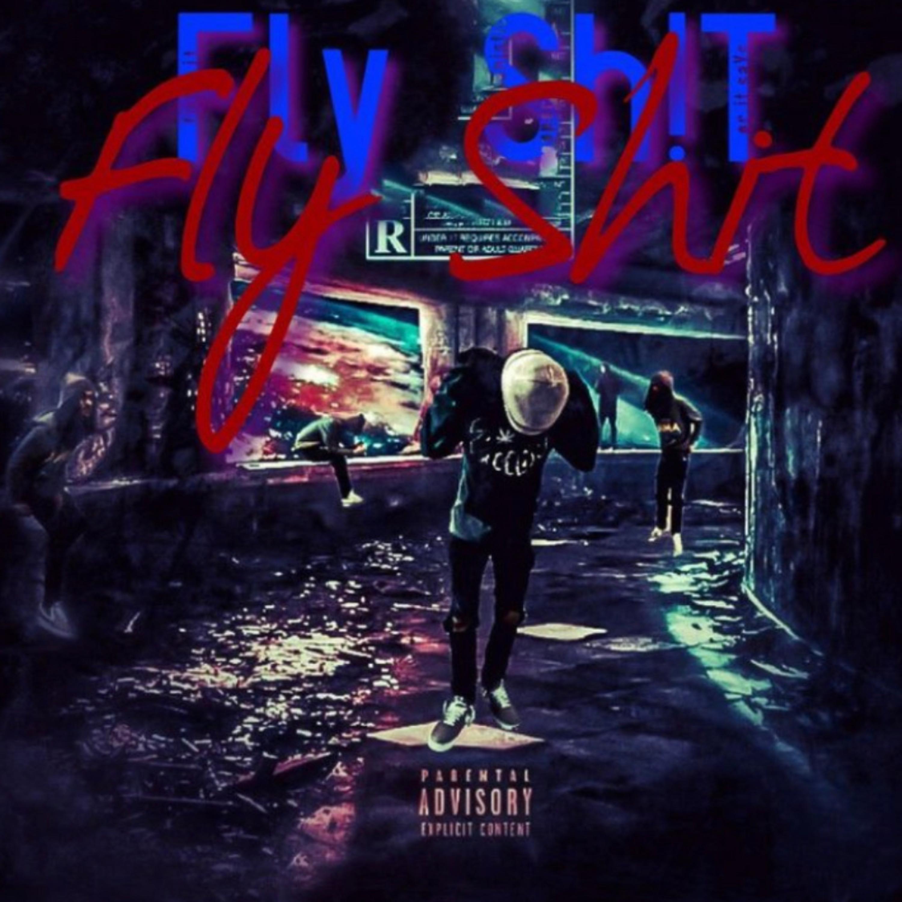 Fly Shit artwork