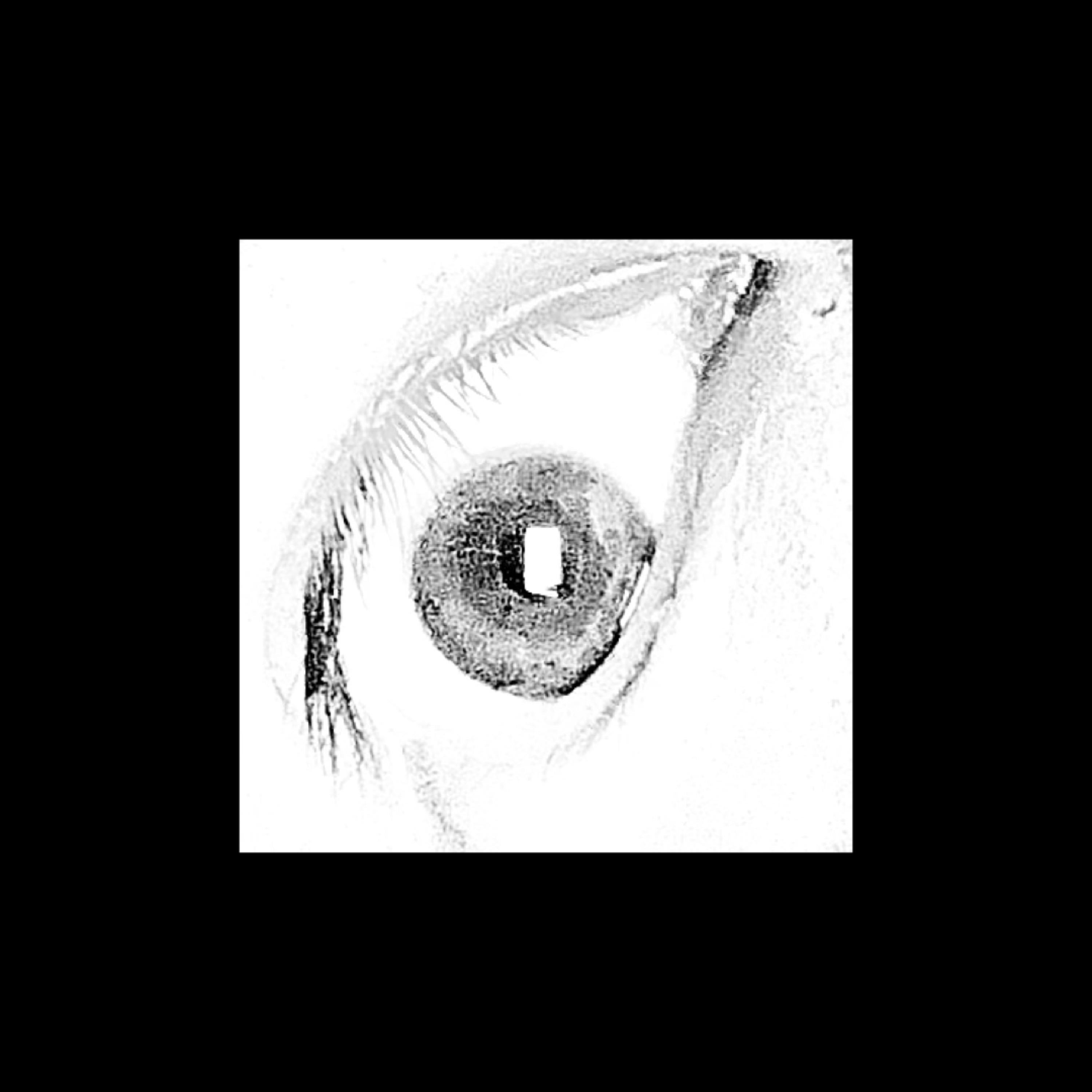Void artwork
