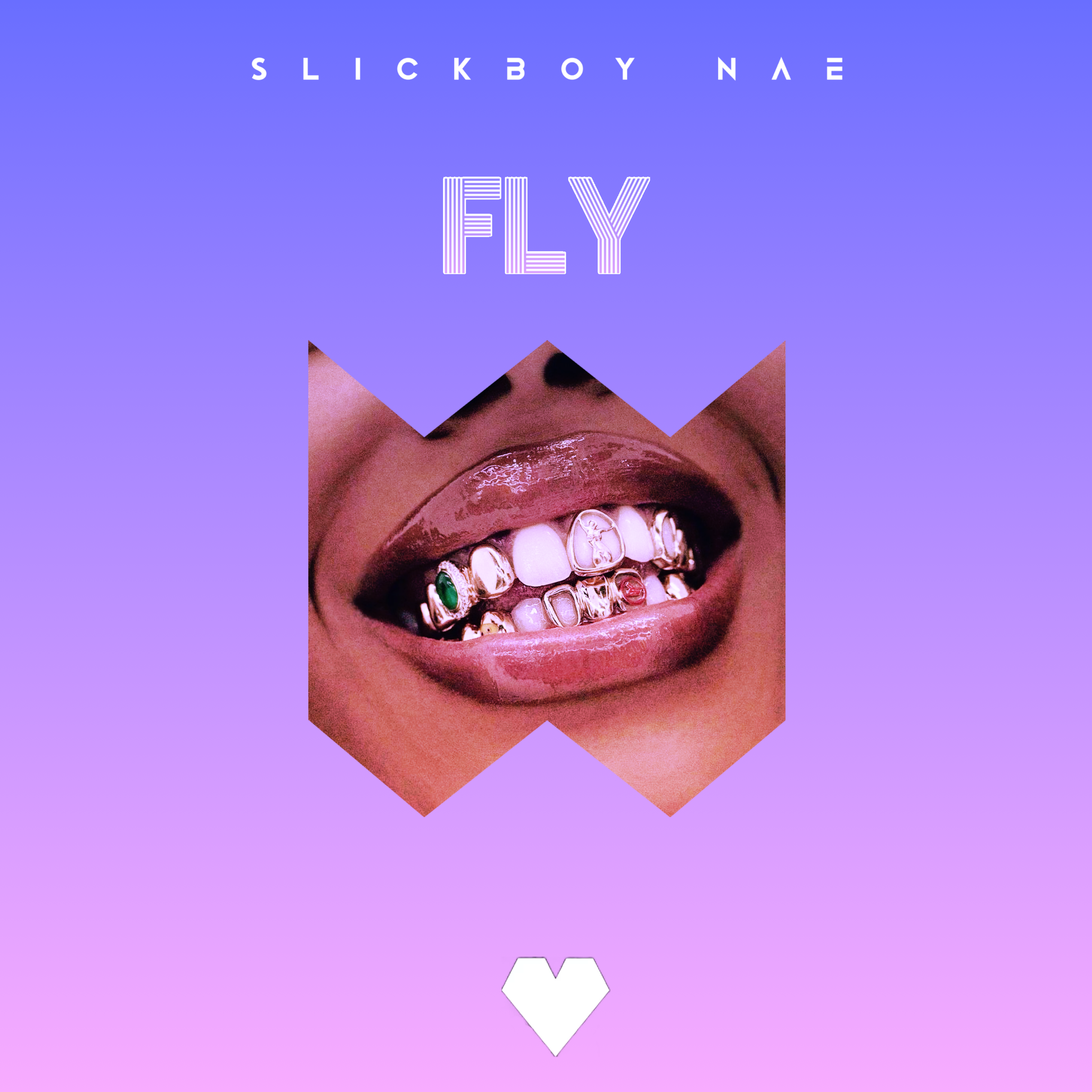 Fly artwork