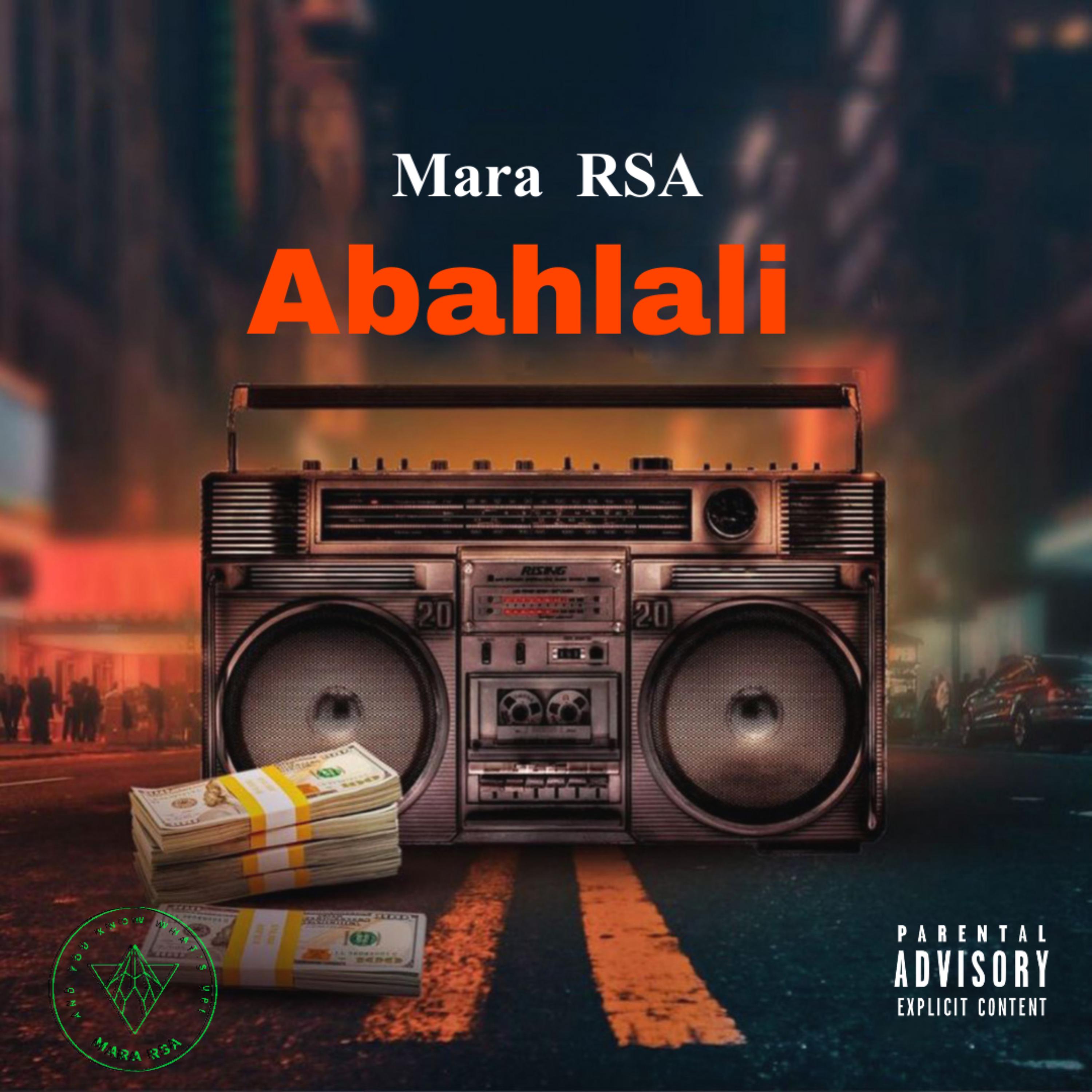 Abahlali artwork