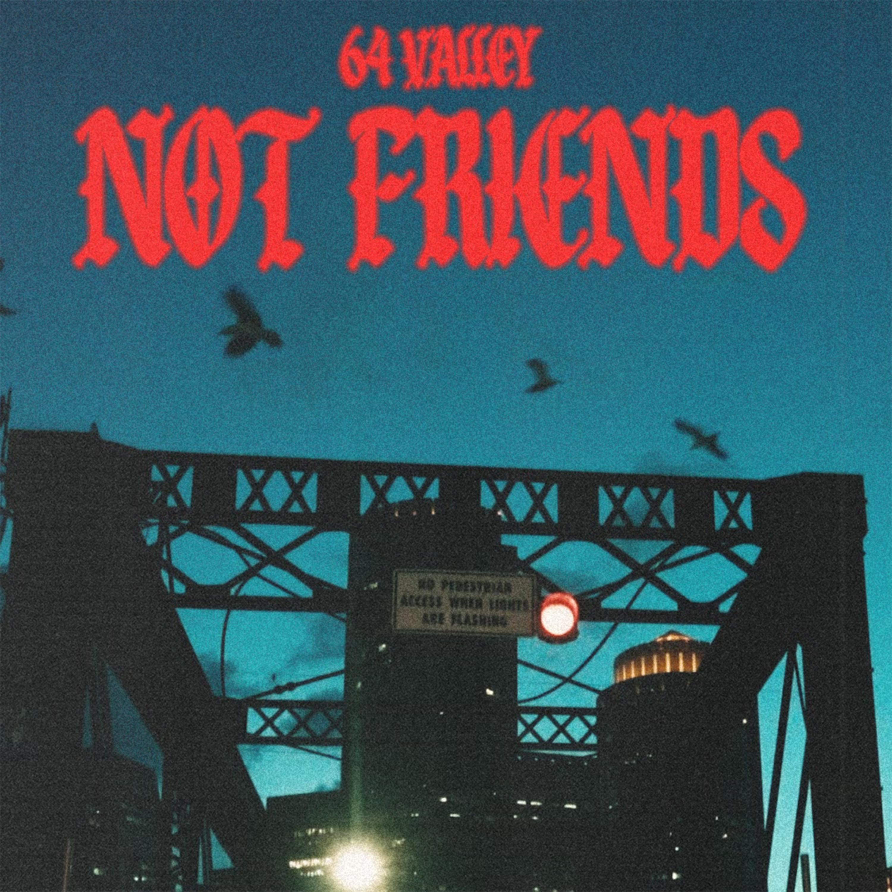 NOT FRIENDS artwork