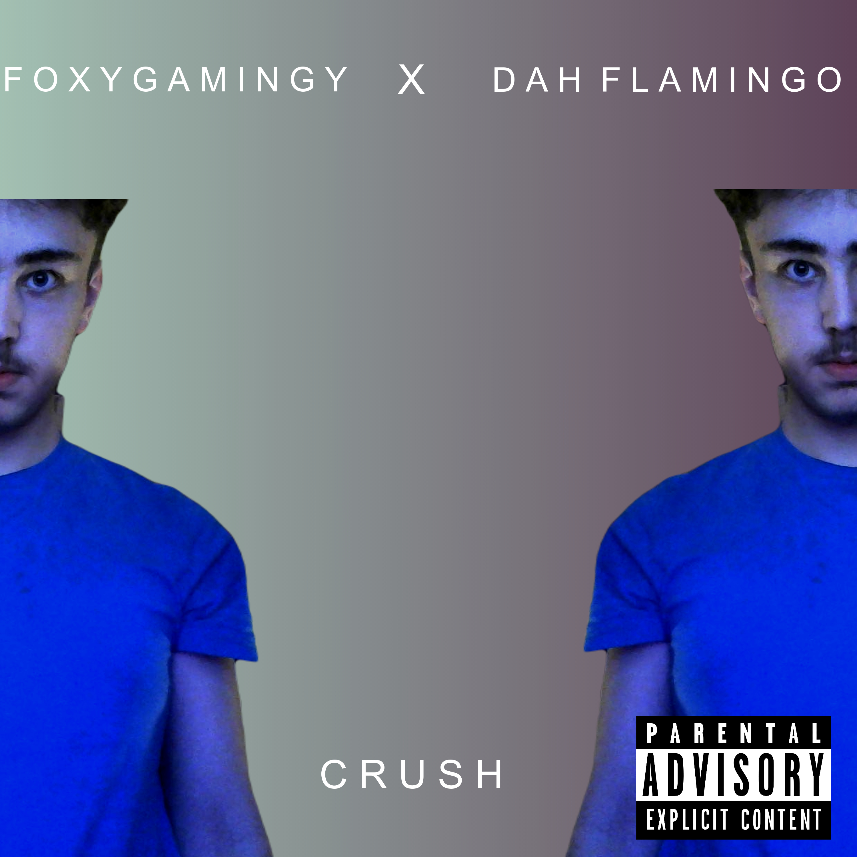 Crush (Fixed) artwork