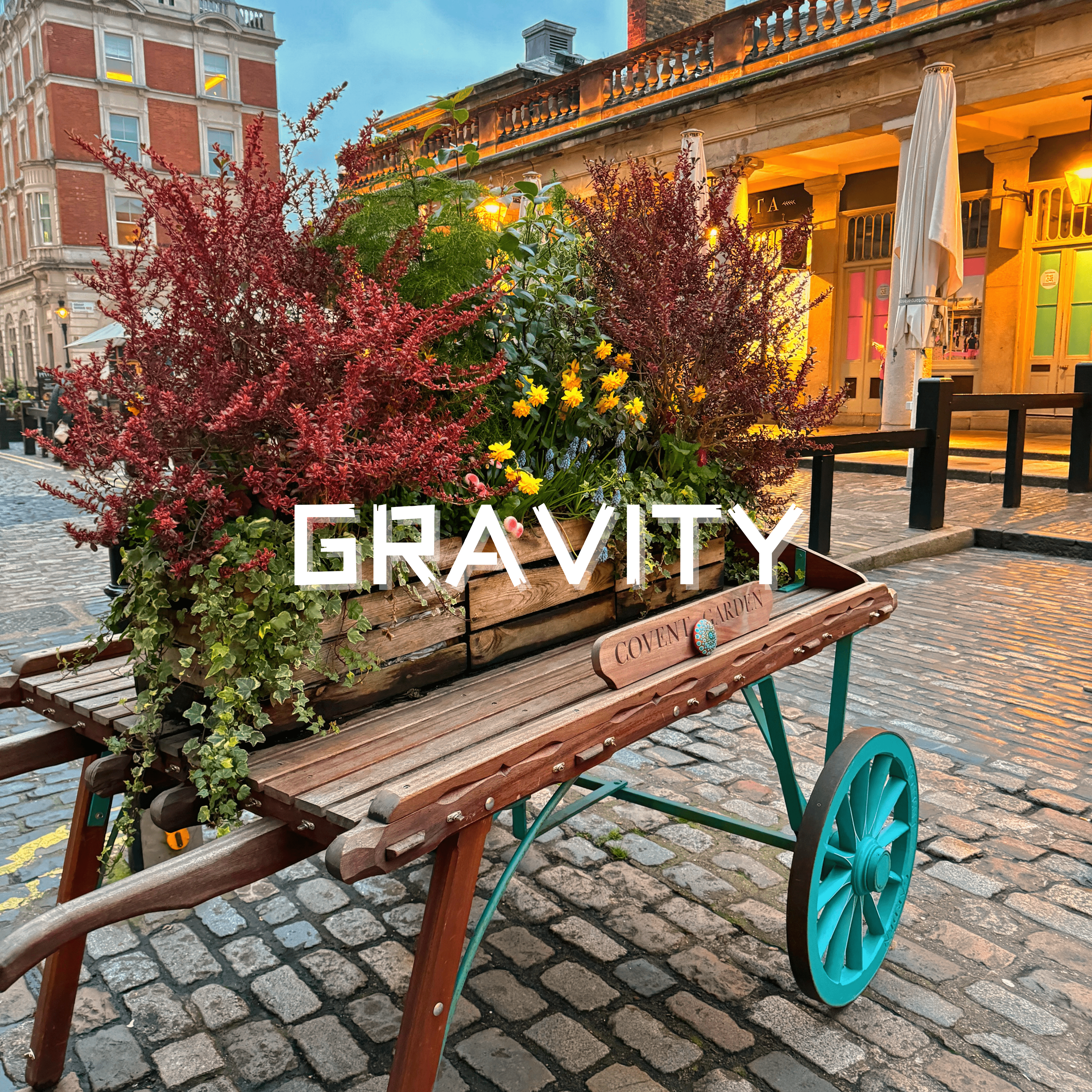 Gravity artwork