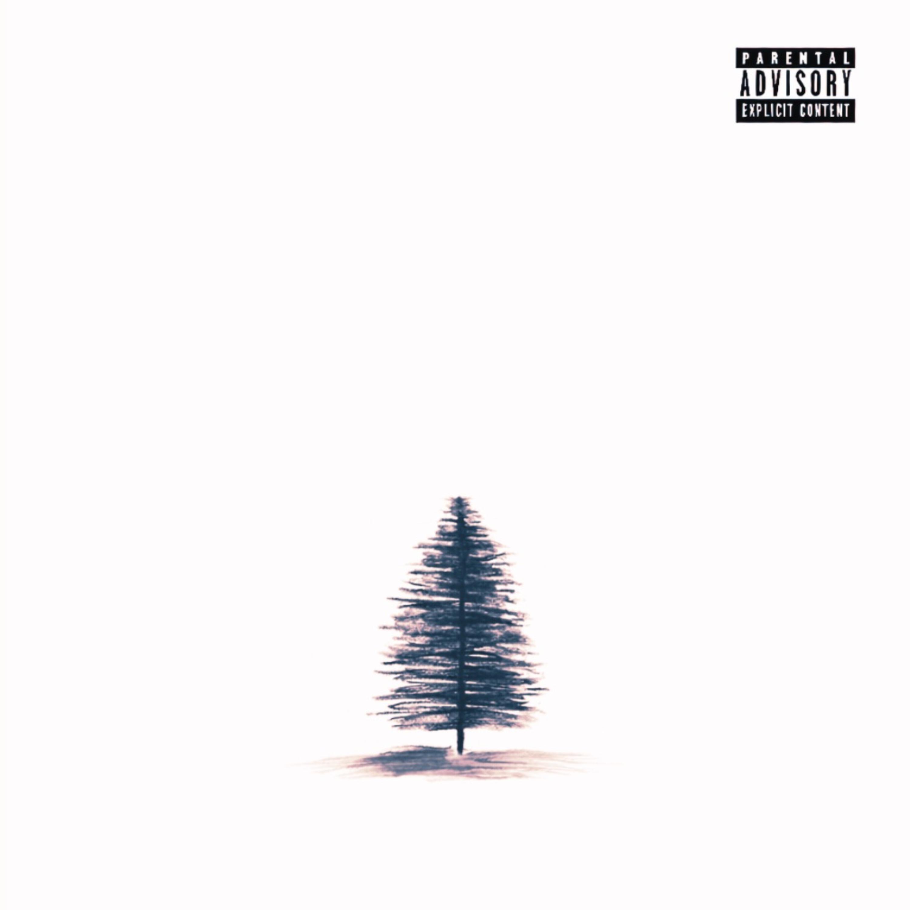 No Birds In The Winter artwork