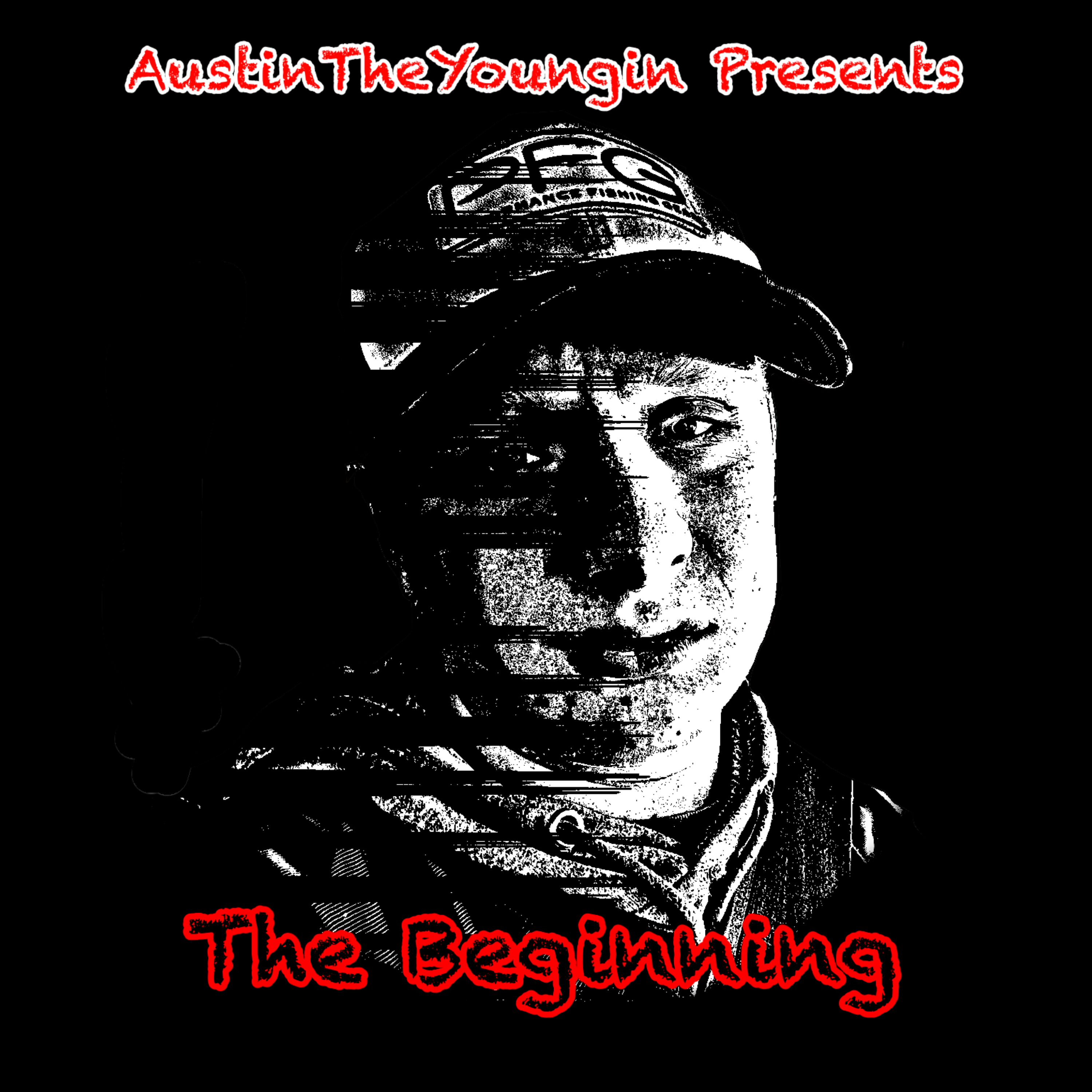 The Beginning artwork