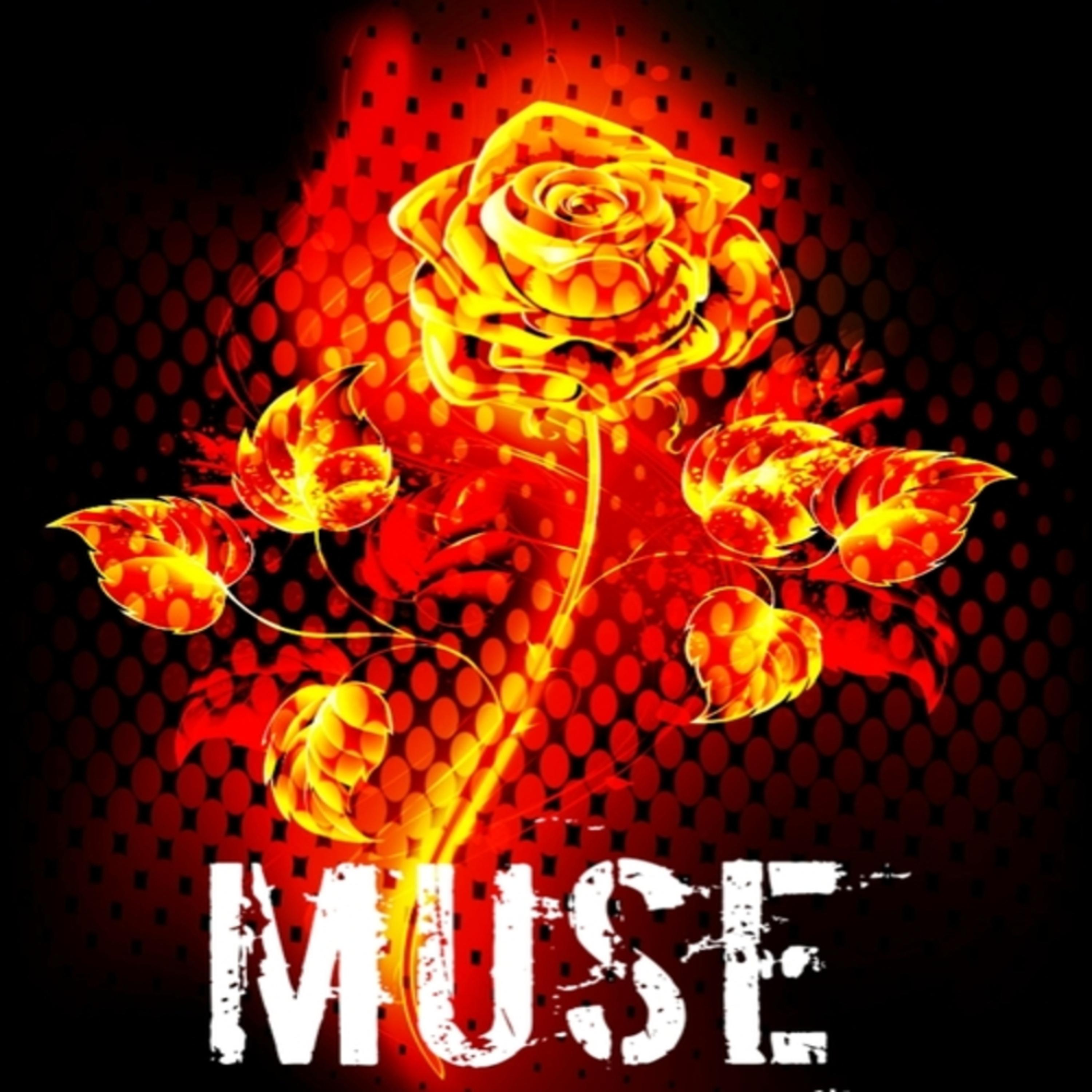 MUSE artwork