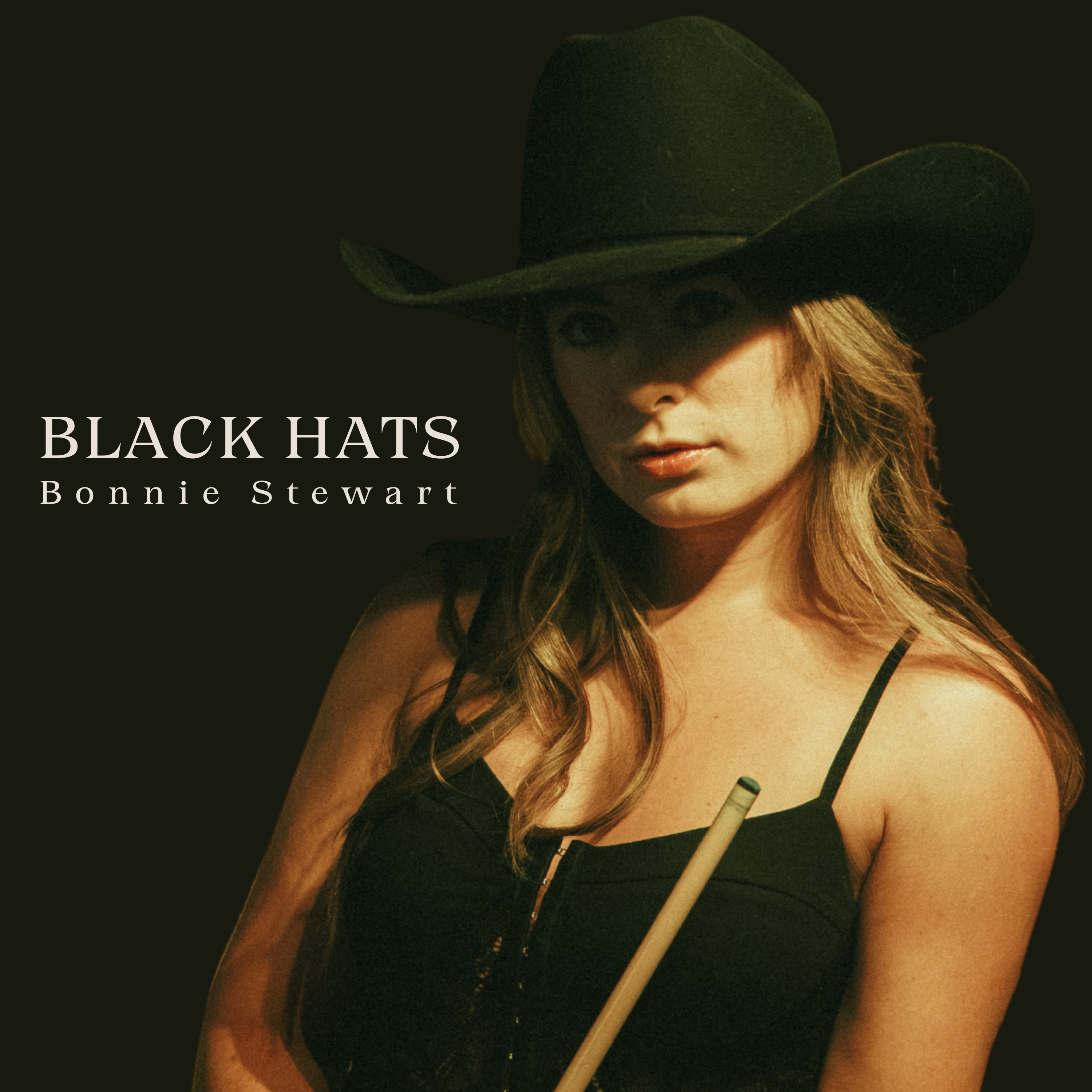 Black Hats by Bonnie Stewart cover art