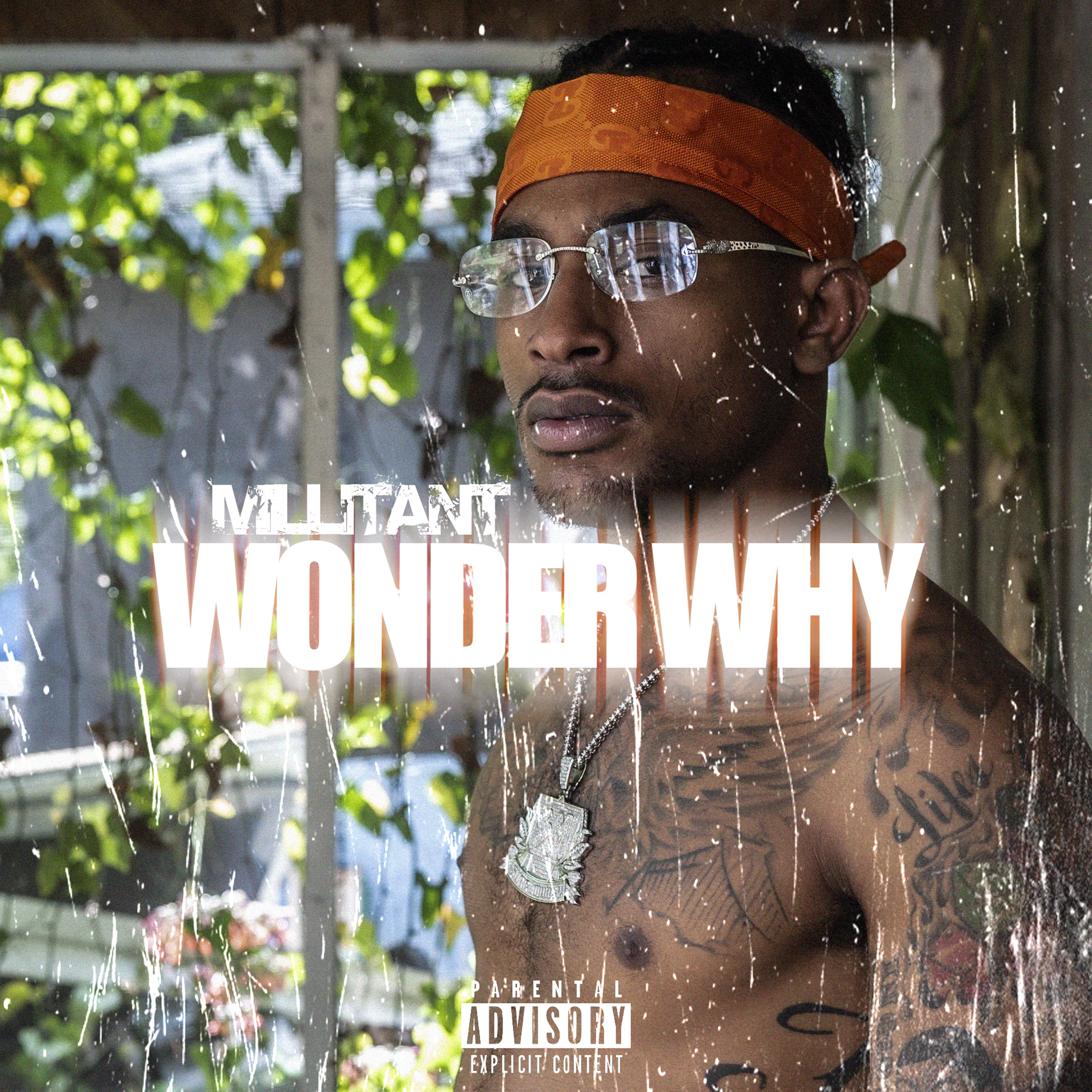 Wonder Why artwork