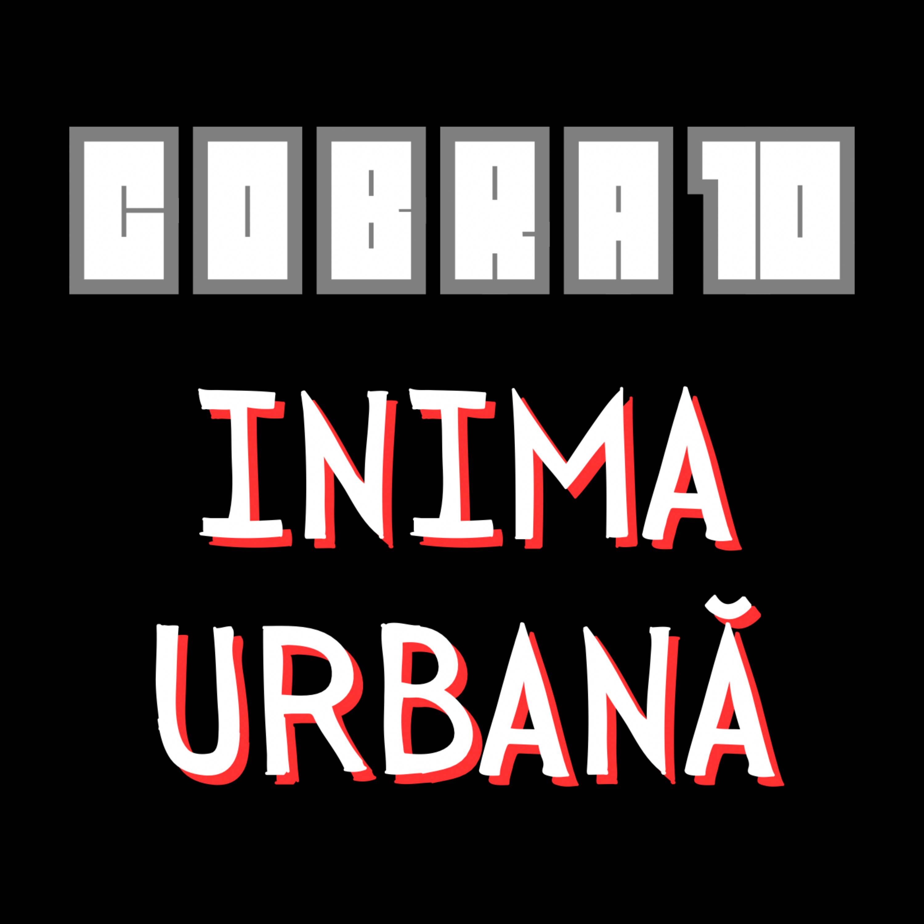 Inima Urbană artwork