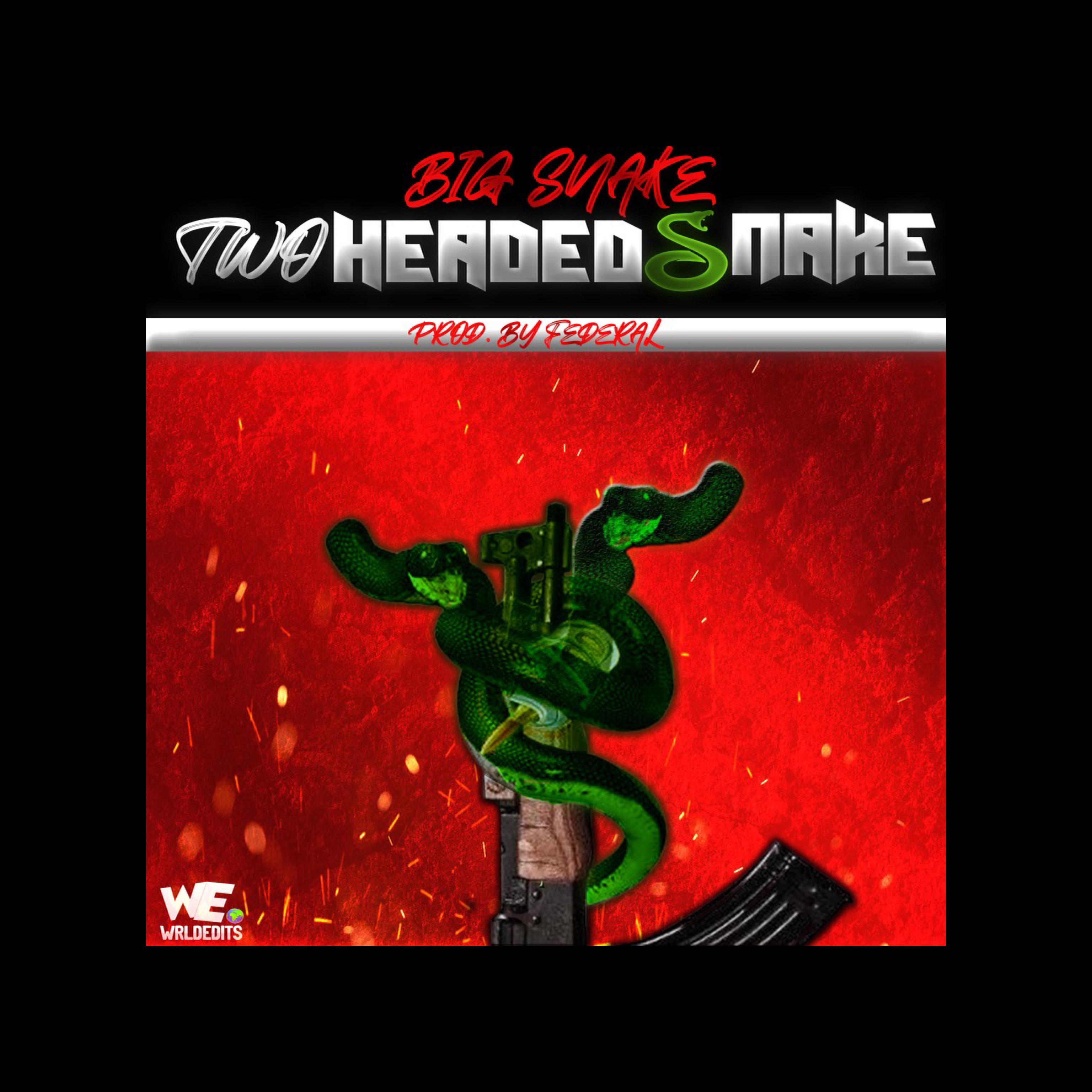 Two Headed Snake by Big Snake cover art