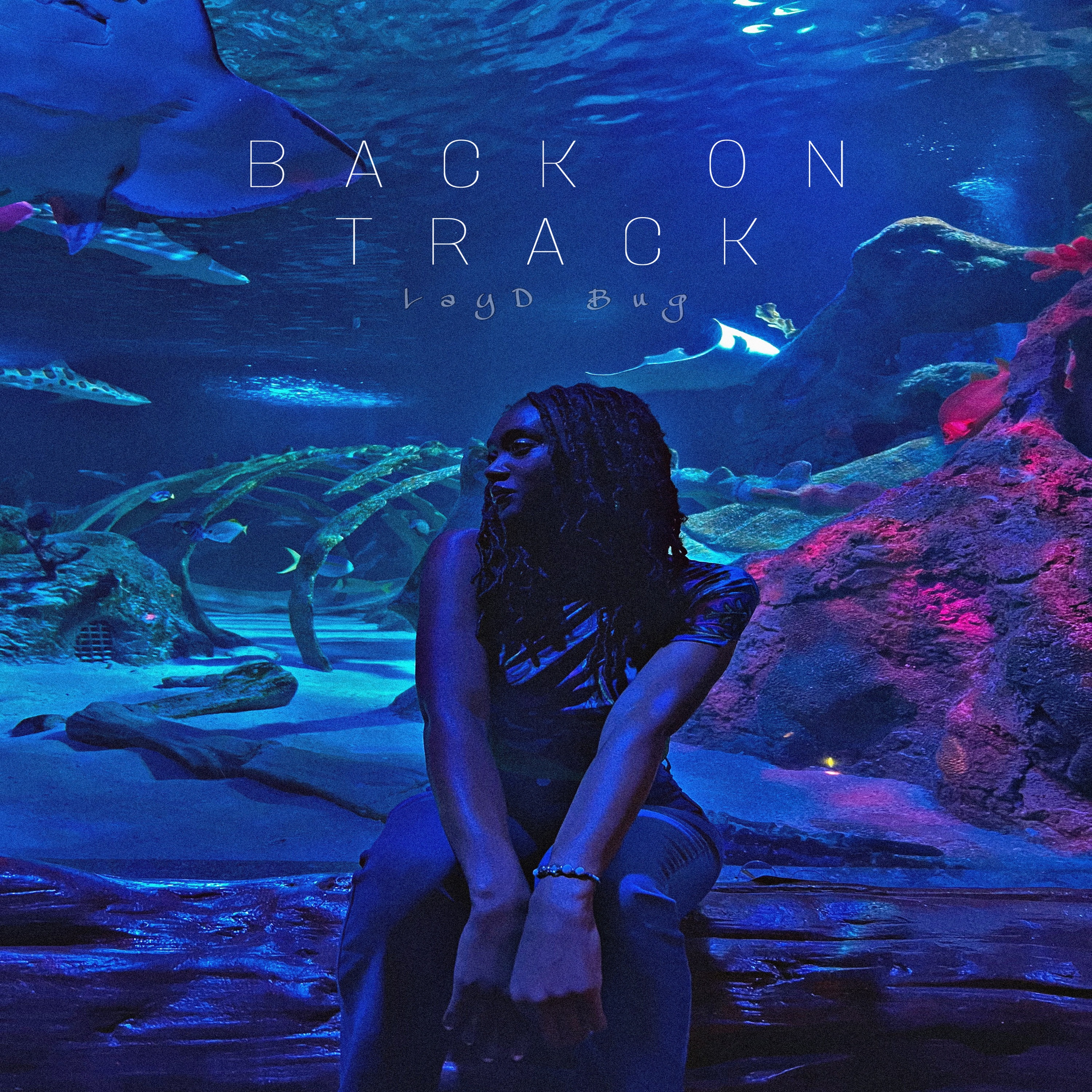 Back On Track by Lay D Bug