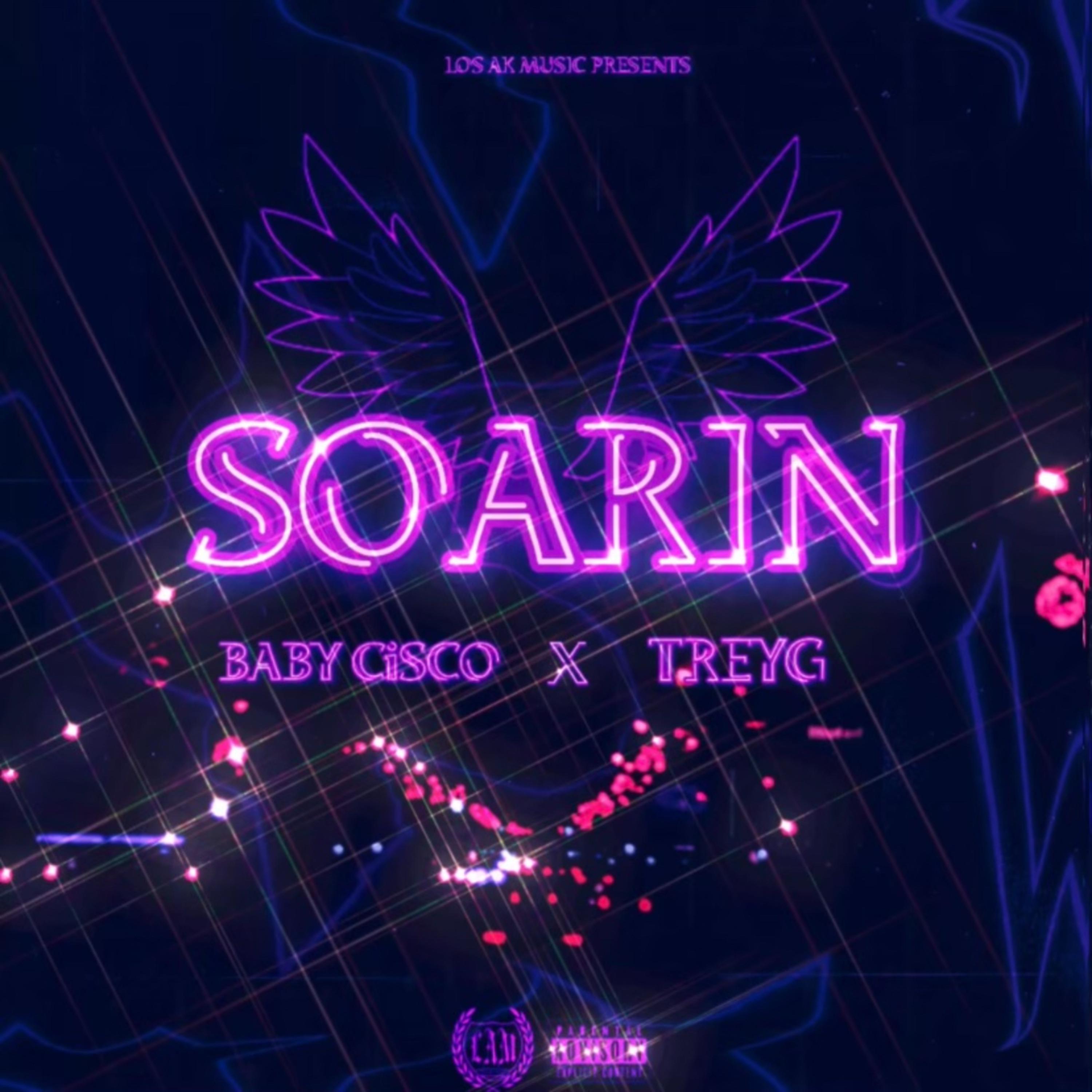 Soarin' artwork
