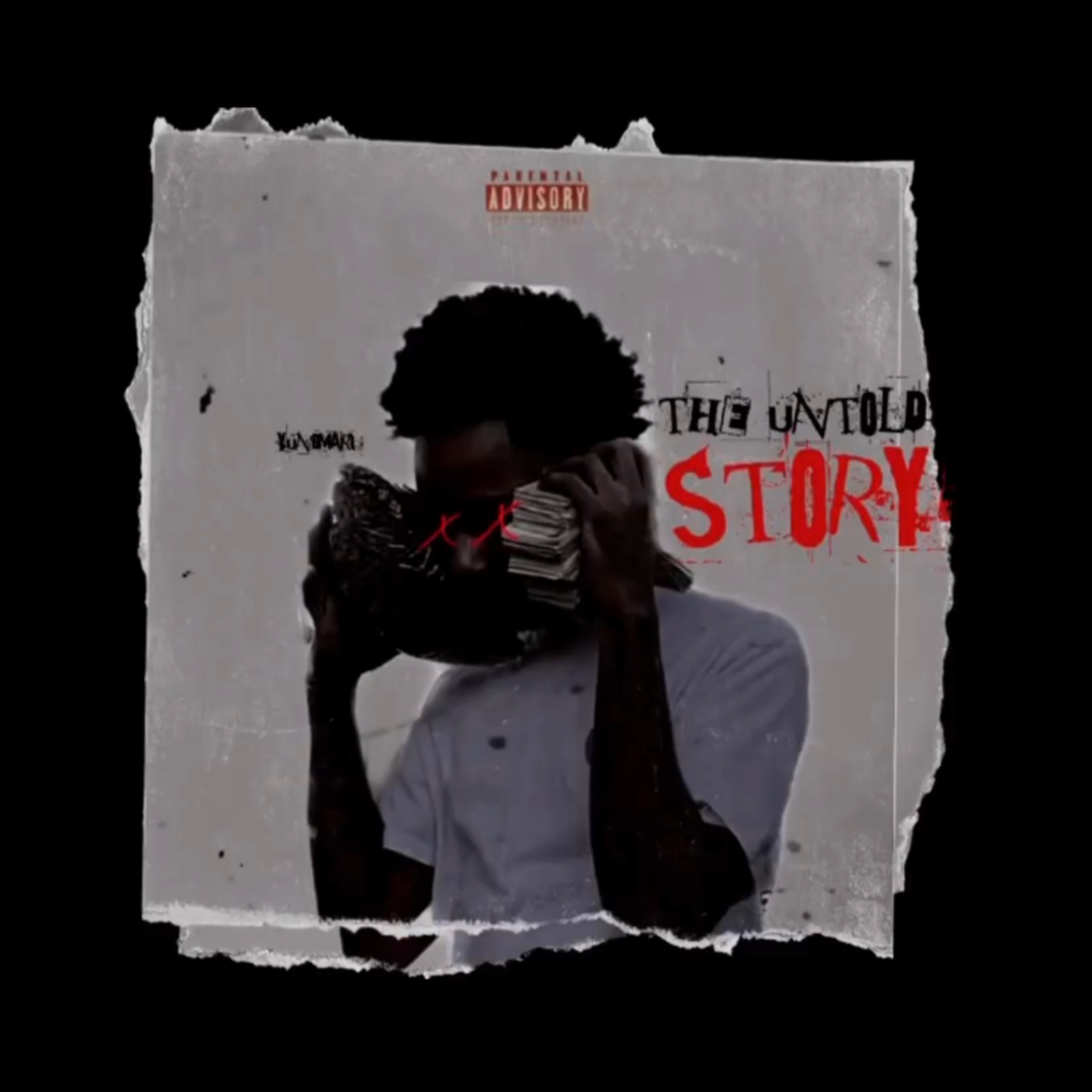 THE UNTOLD STORY artwork