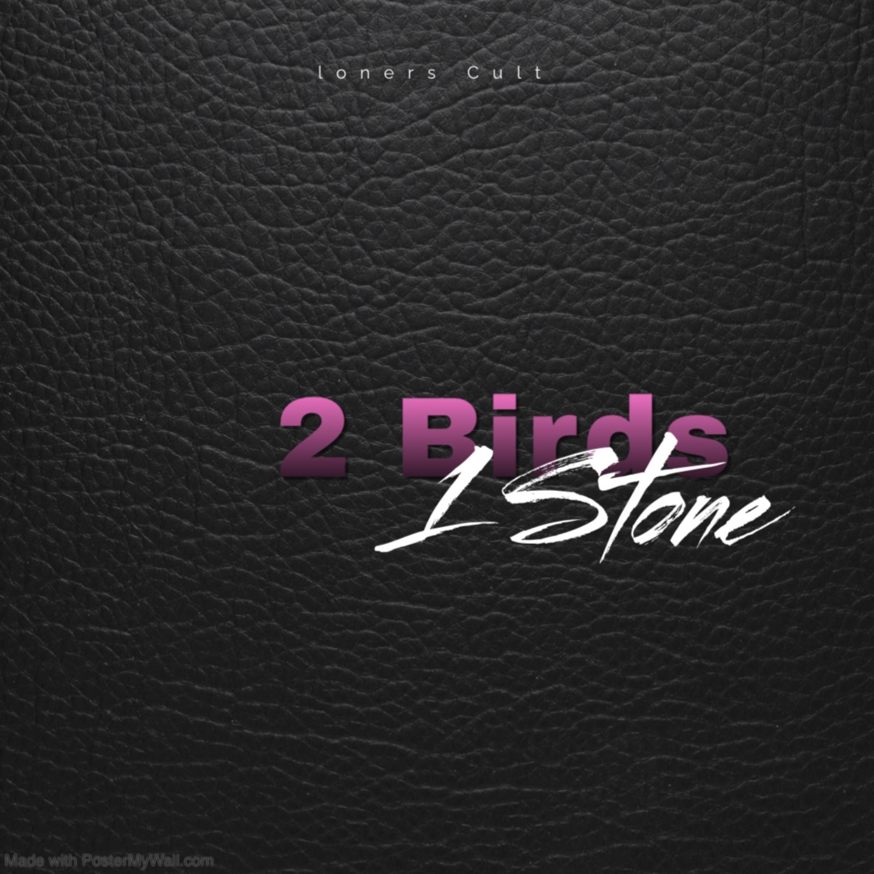 2 birds 1 stone artwork