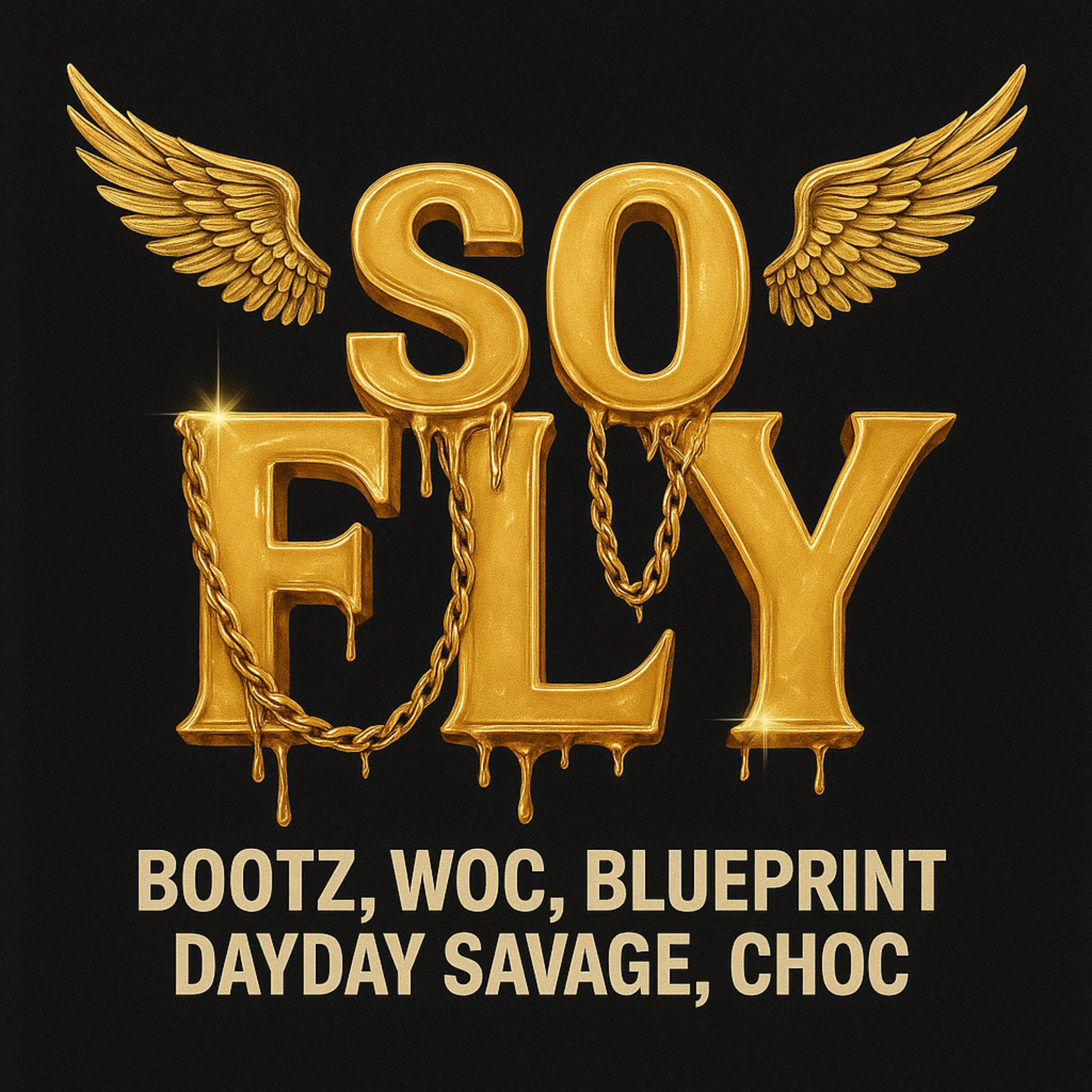 So Fly by Bootz cover art