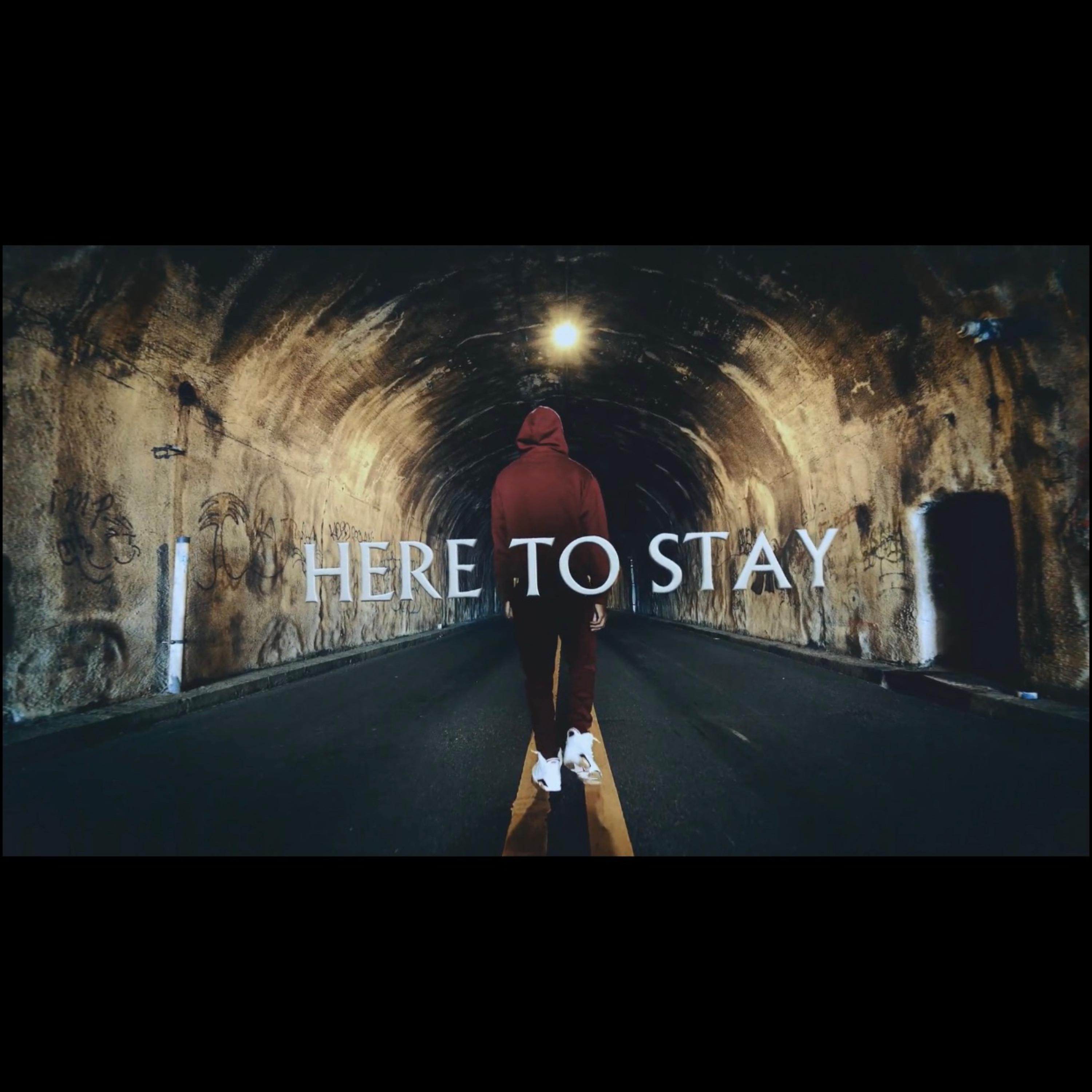 Here To Stay artwork