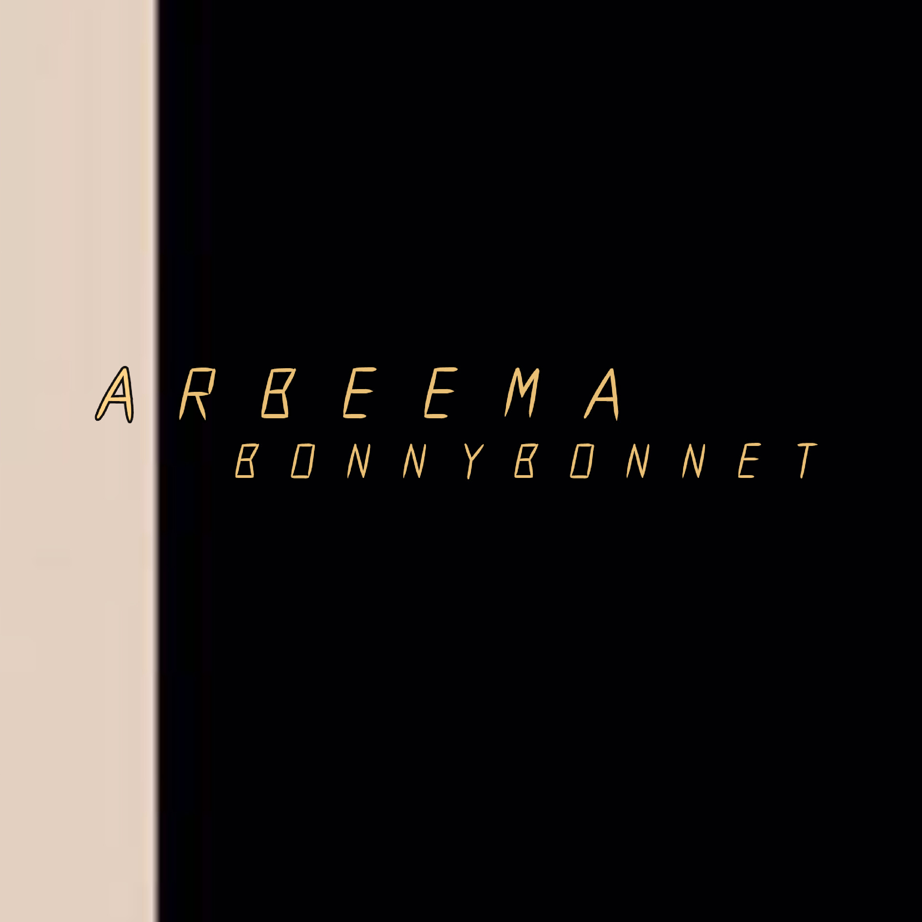Bonnybonnet artwork