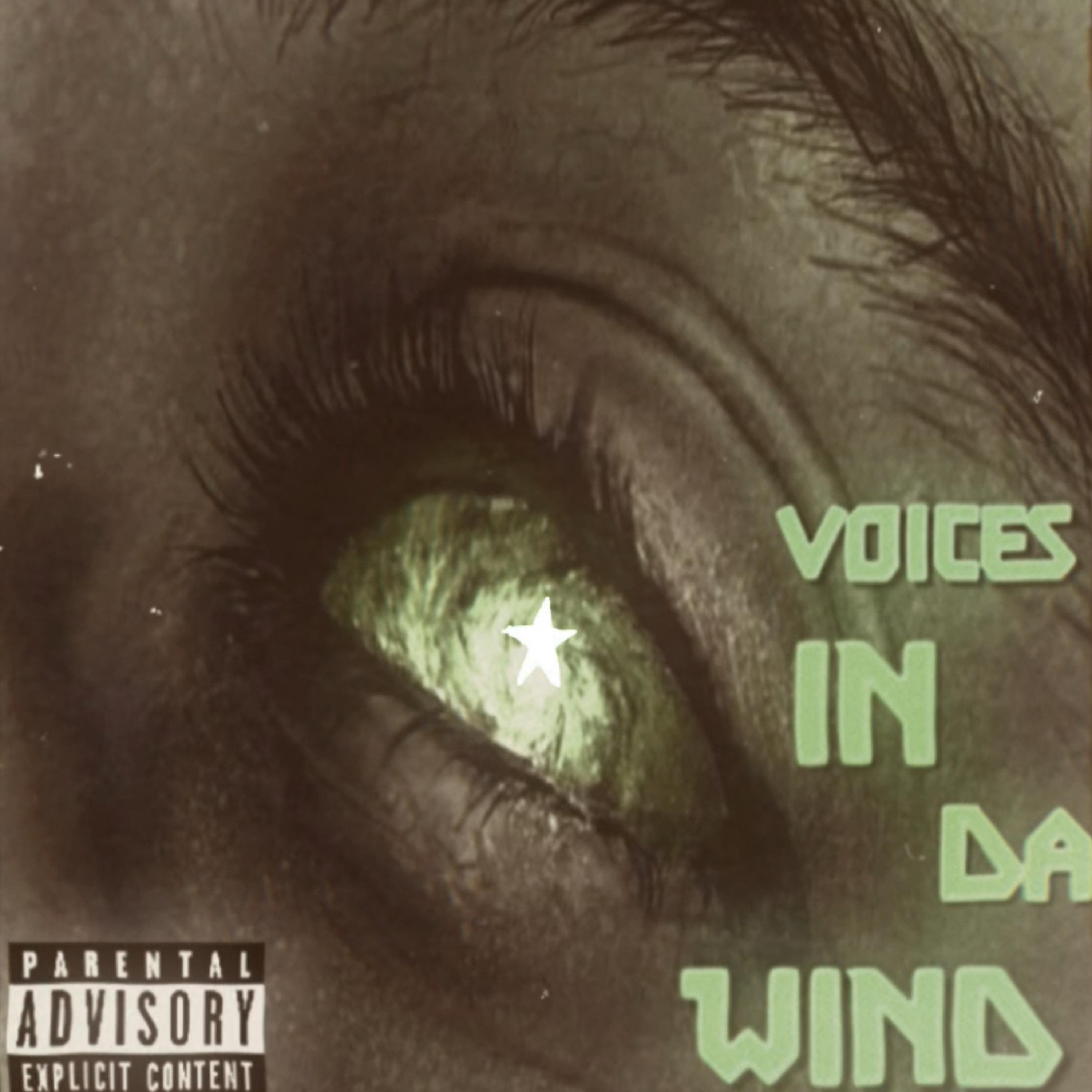 Voices In Da Wind artwork