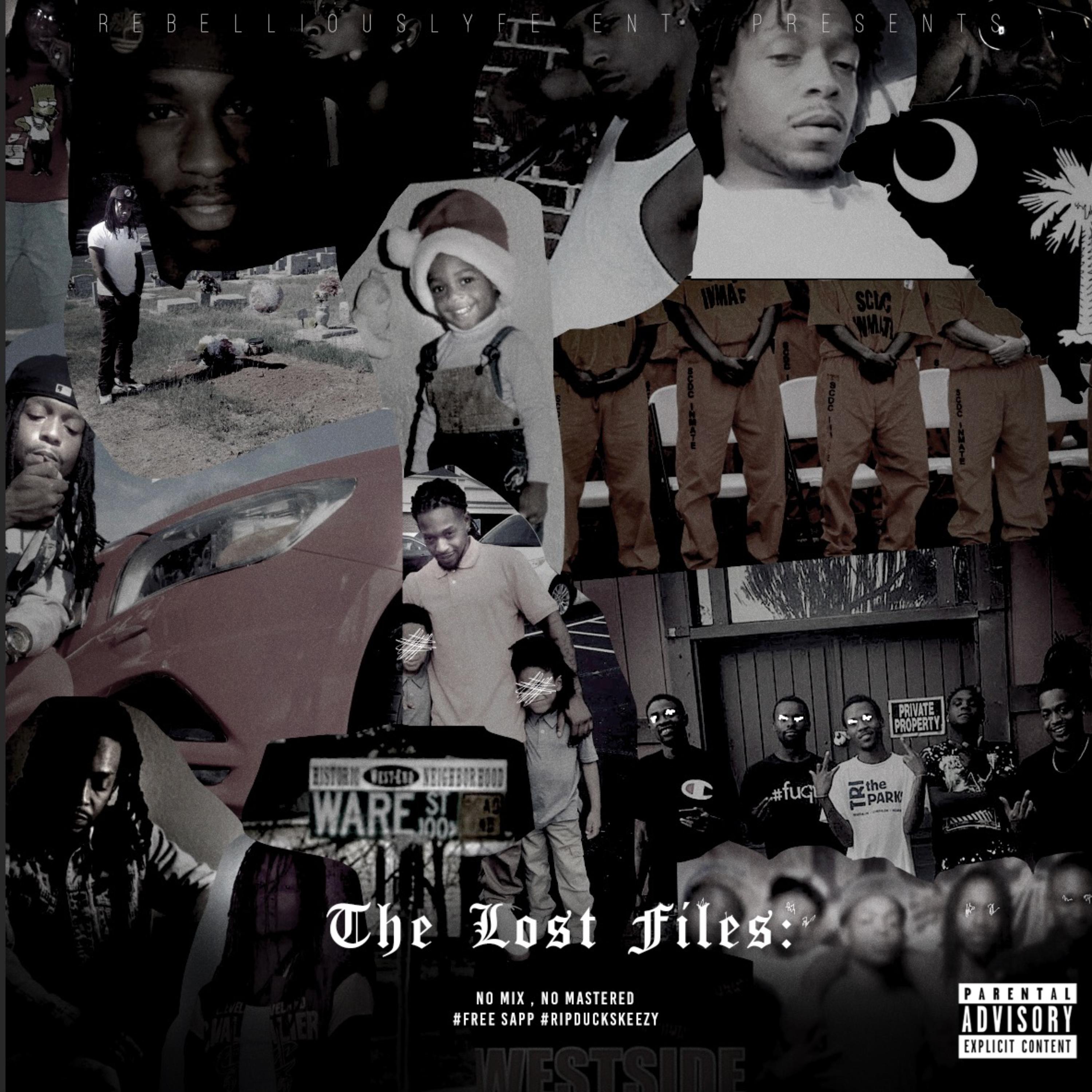 The Lost Files: No Mix No Mastered artwork