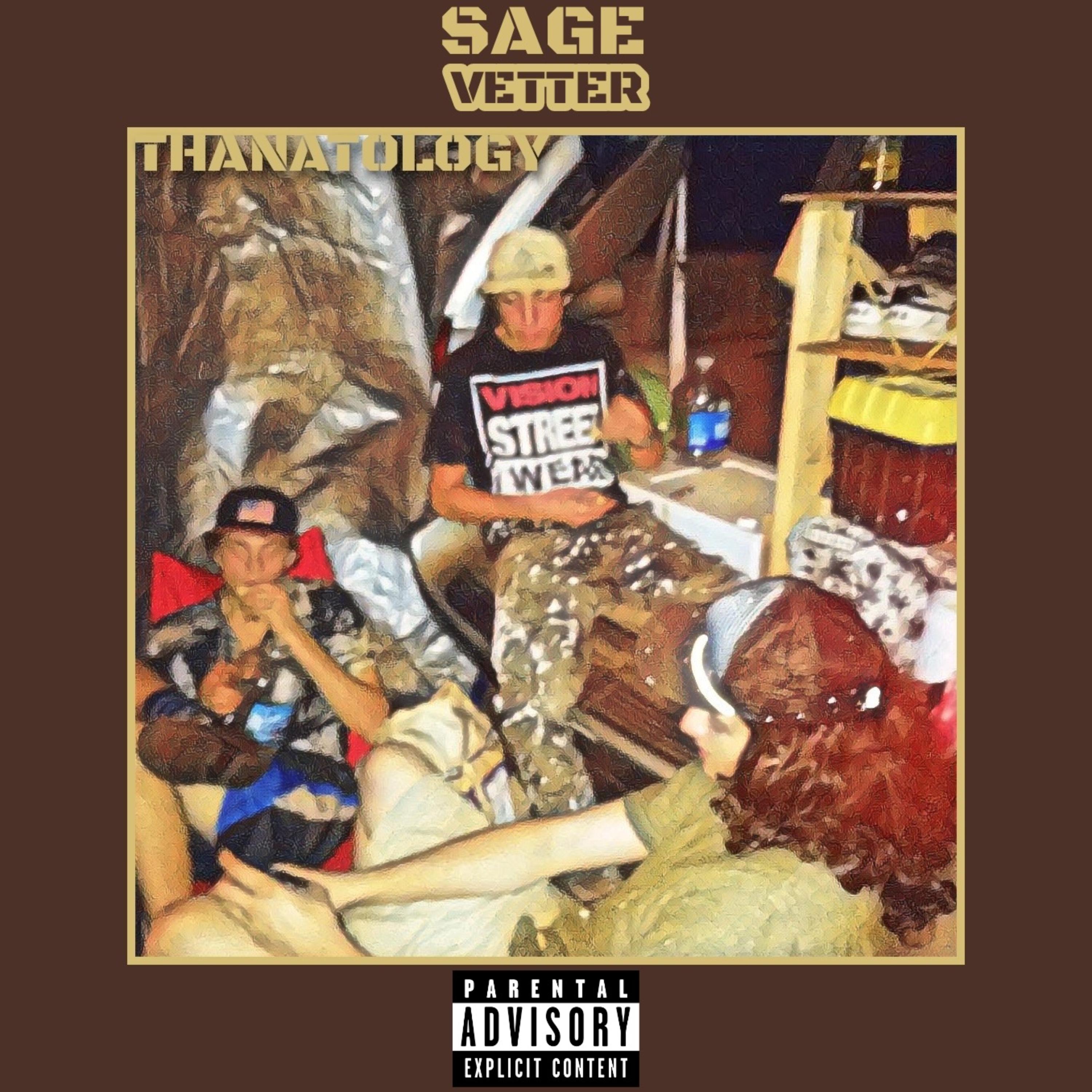 Thanatology by Sage Vetter cover art