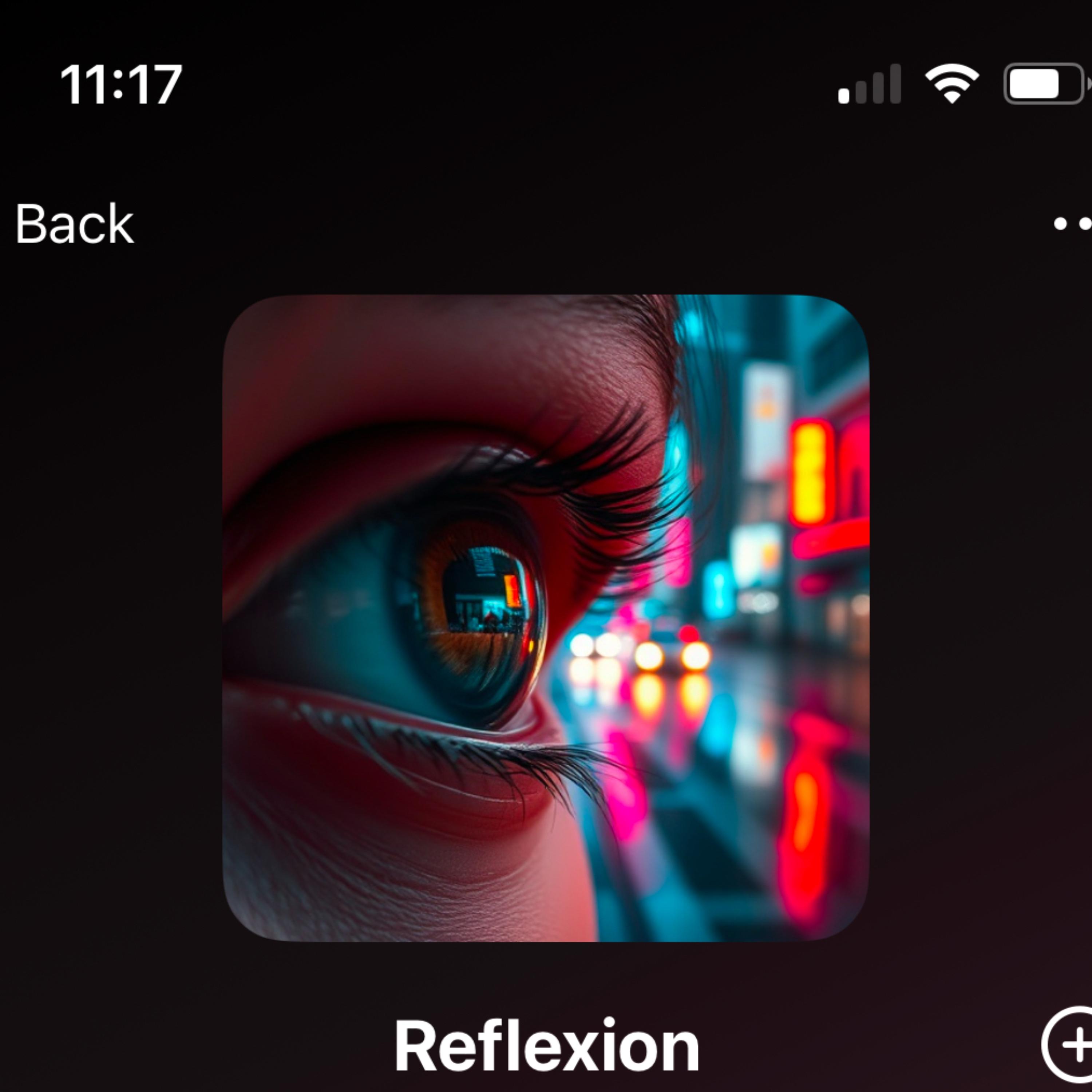 Reflexion artwork