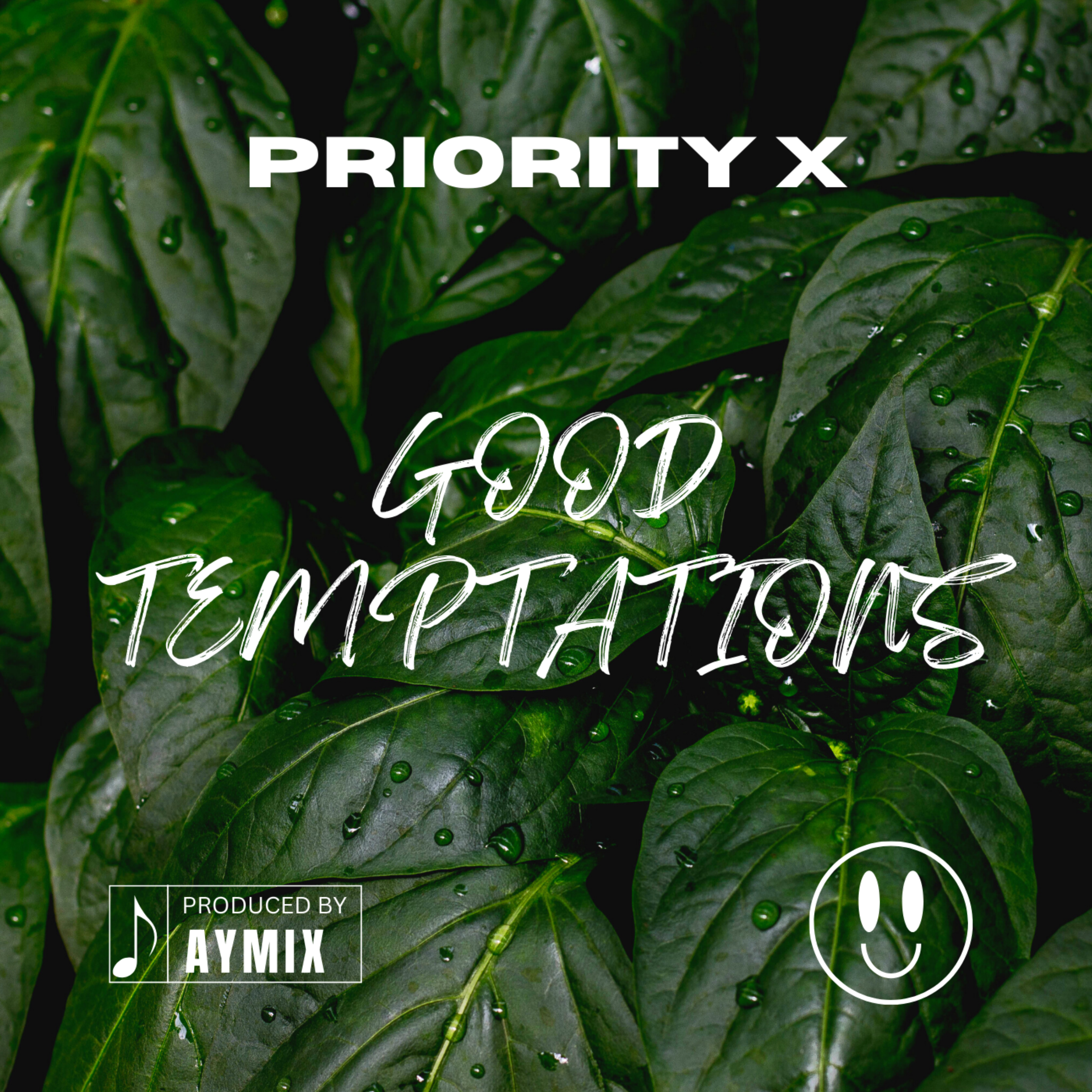 good temptations artwork