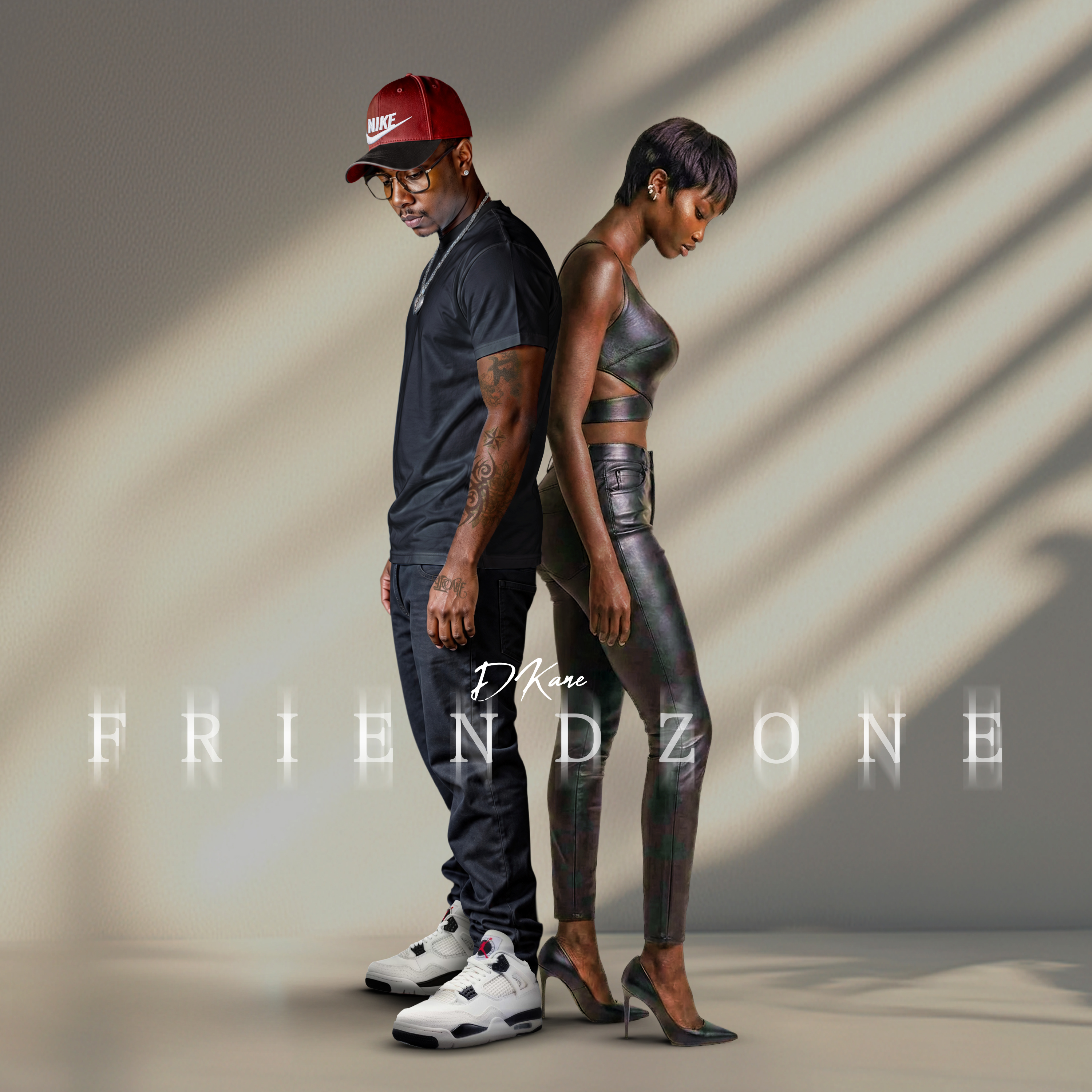 Friend Zone by D. Kane cover art