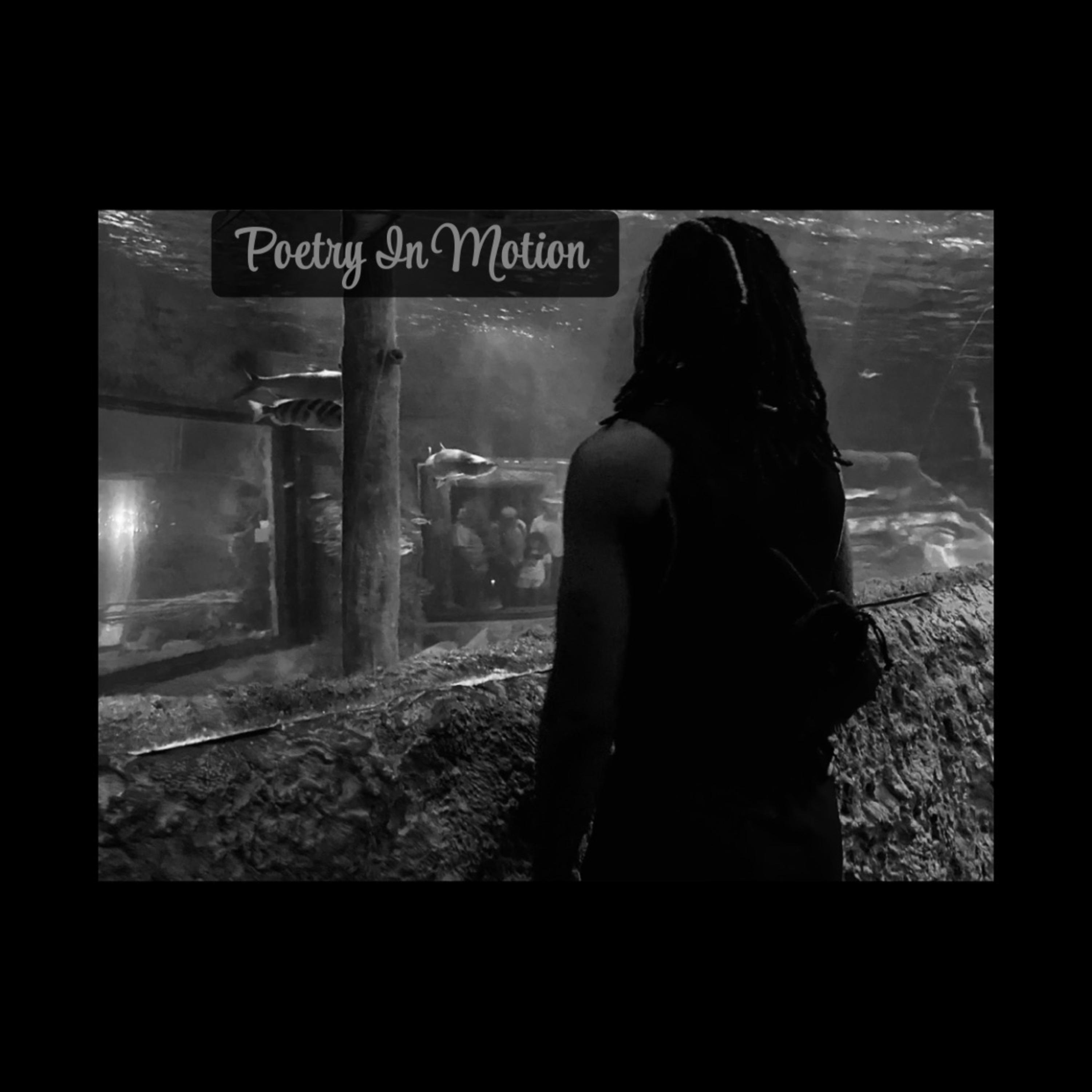 Poetry in Motion by Nlmbmeeky cover art