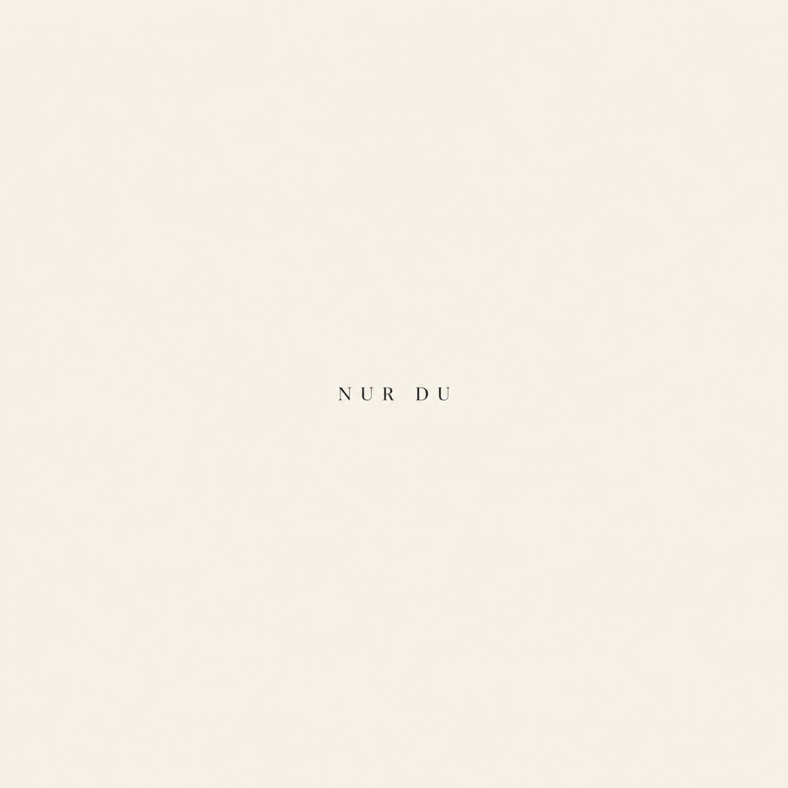 Nur Du by Jason Remix cover art