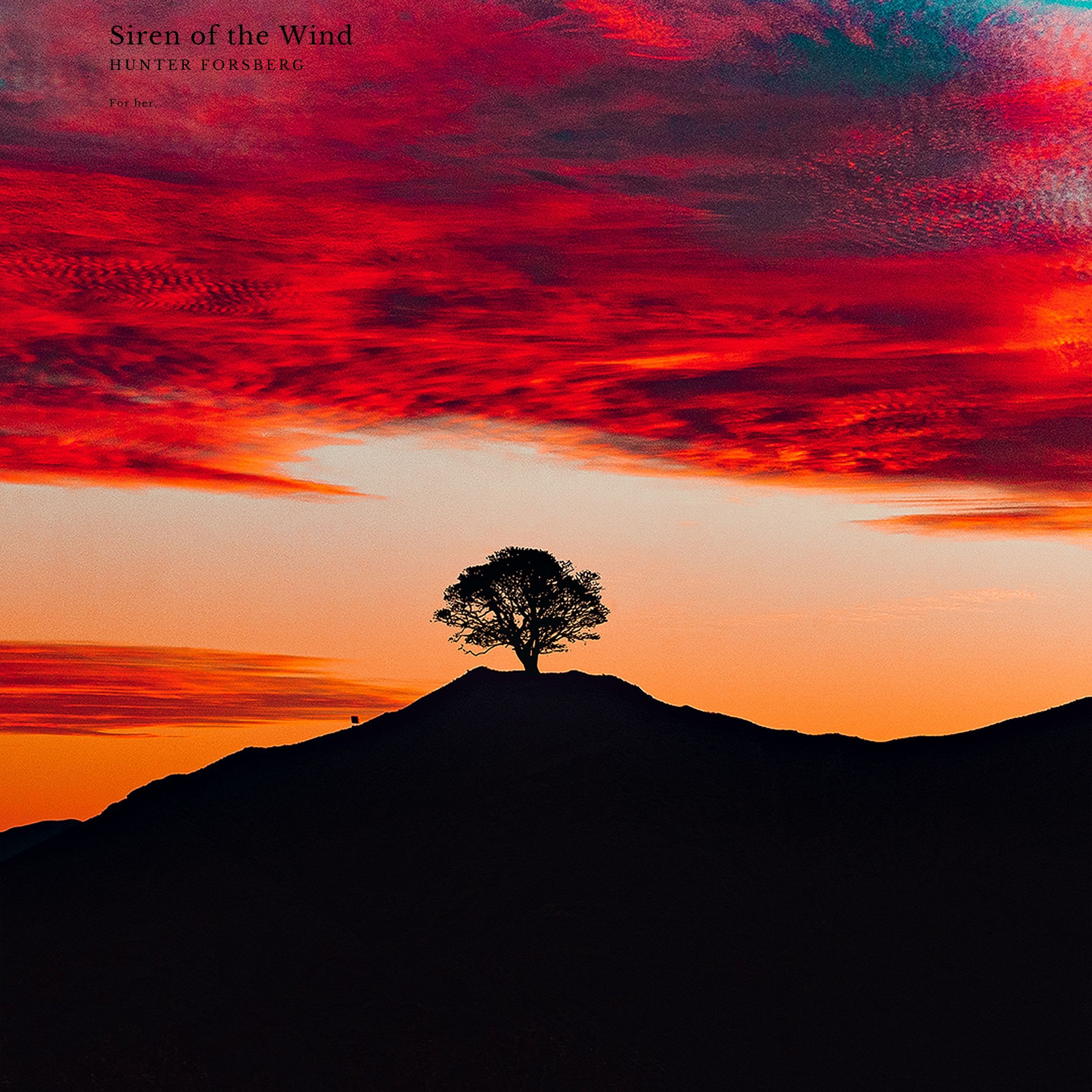 Siren of the Wind artwork