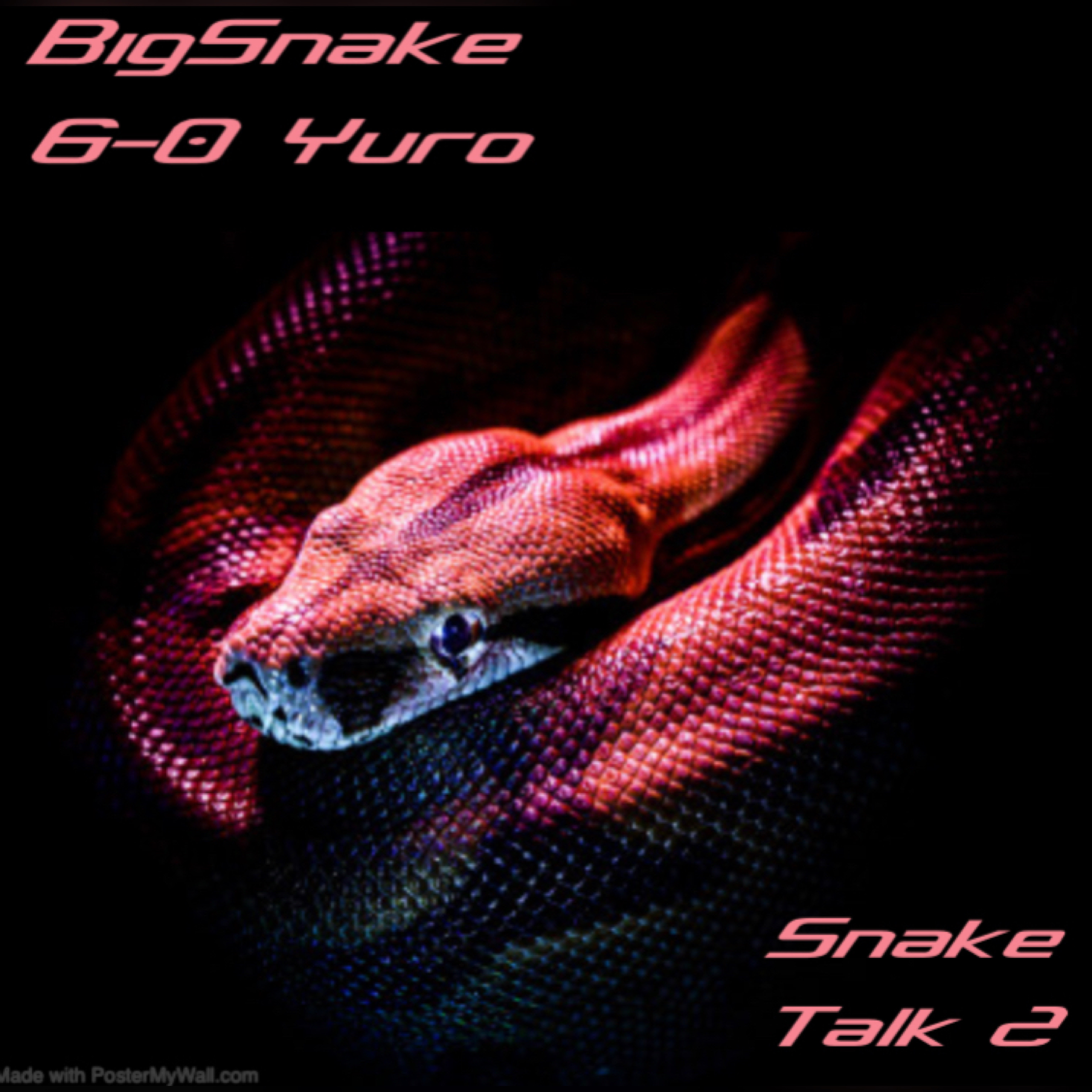 Snake Talk 2 by Big Snake cover art