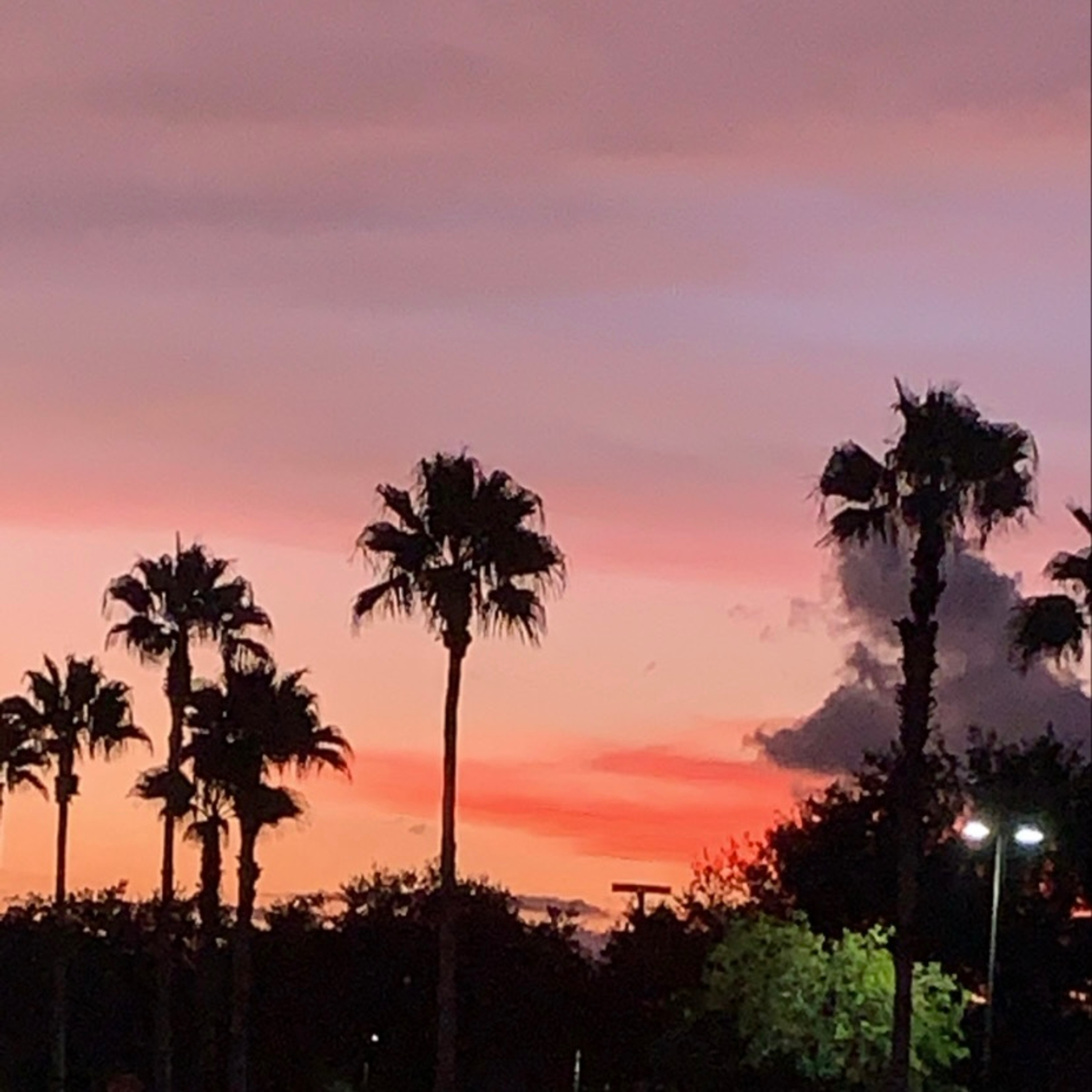 Life Is Guci 2 artwork