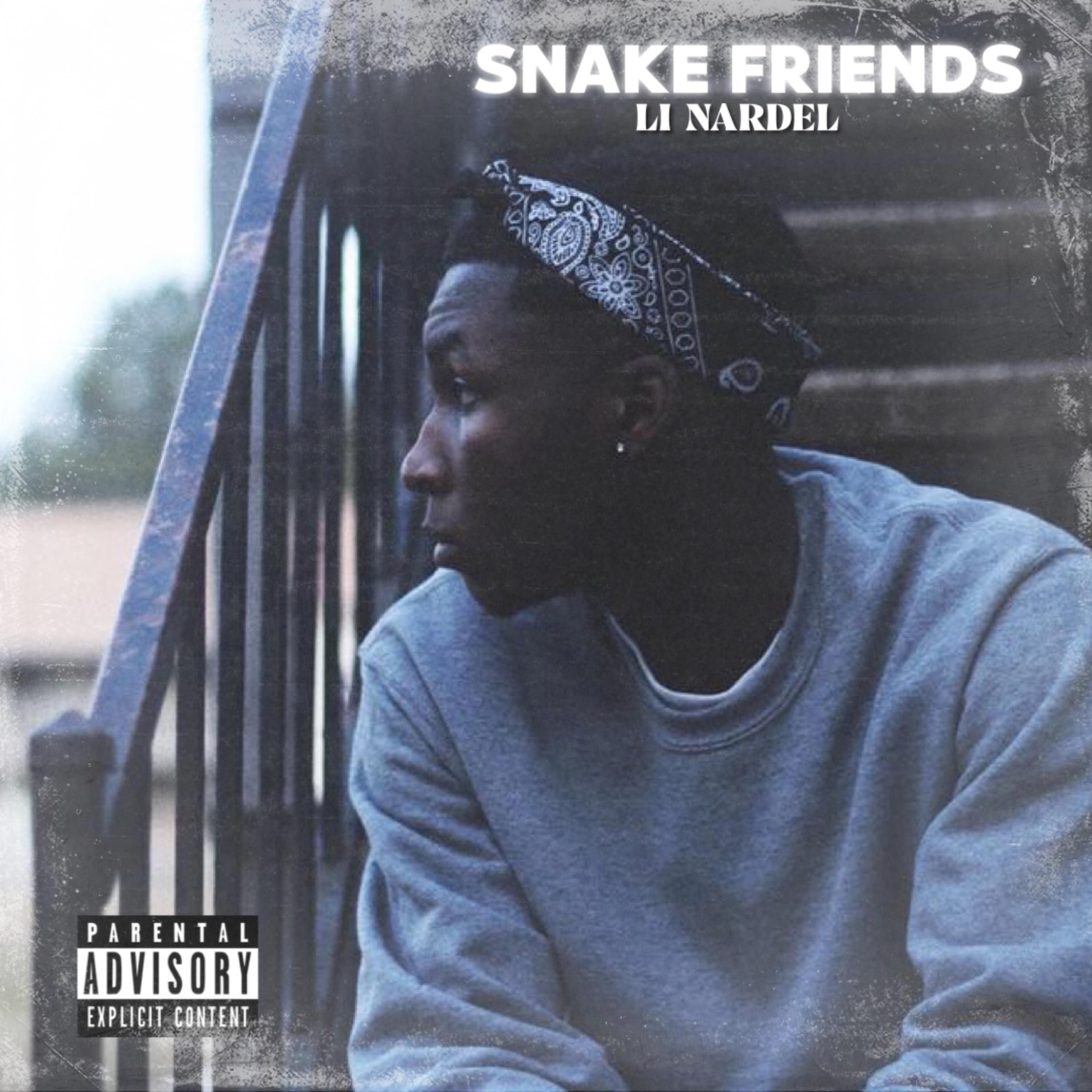 Snake Friends artwork