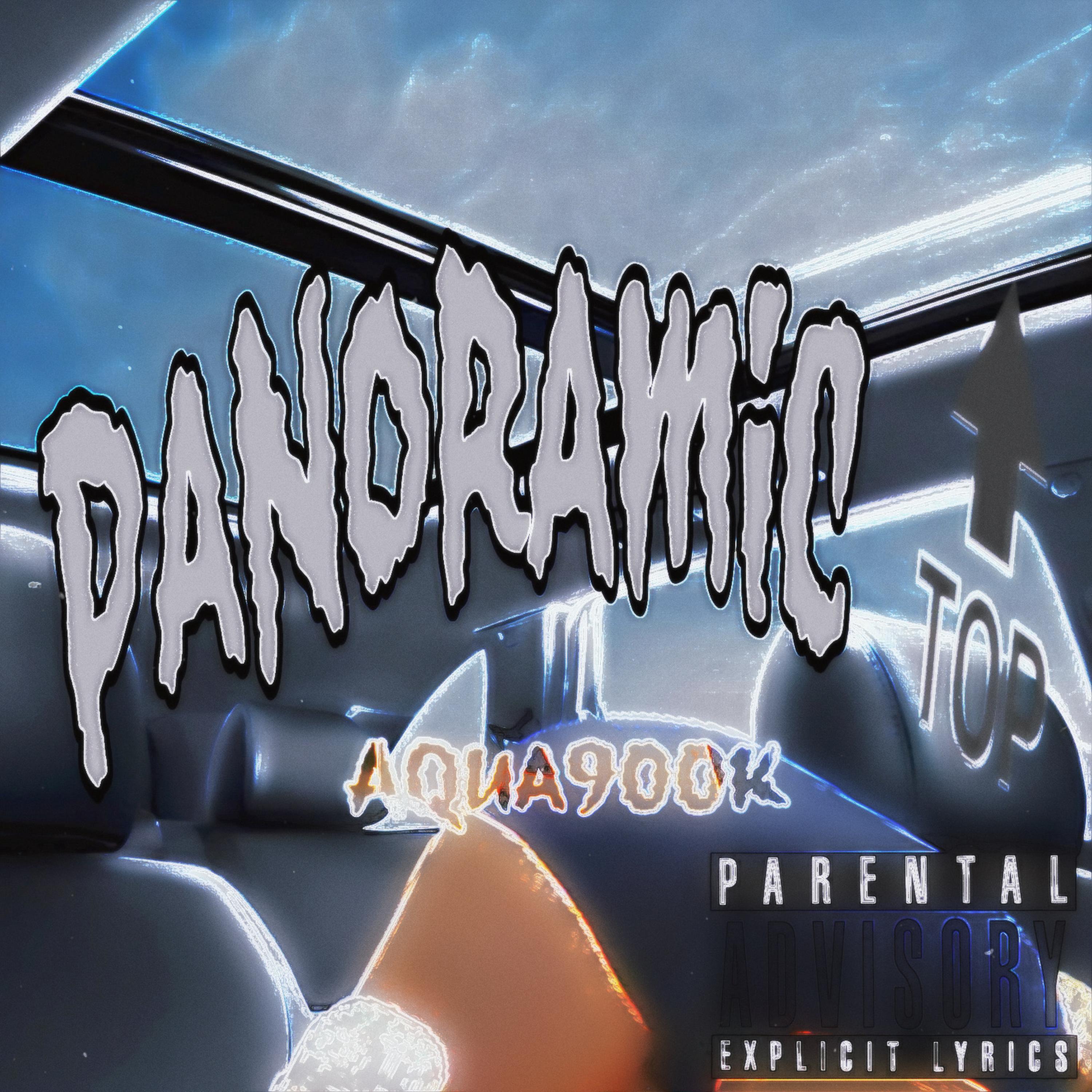 Panoramic Top artwork