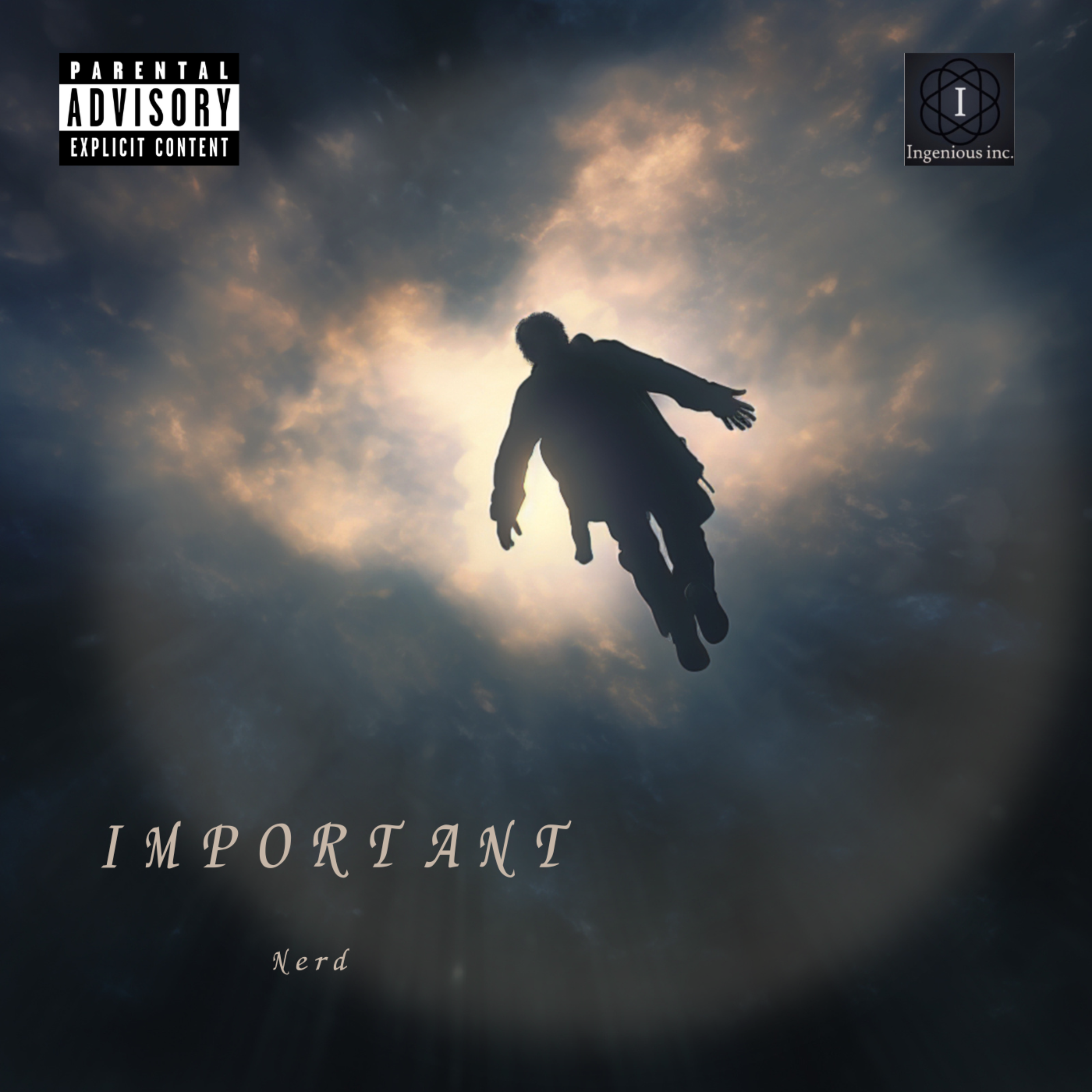 Important by Nerd_98 cover art