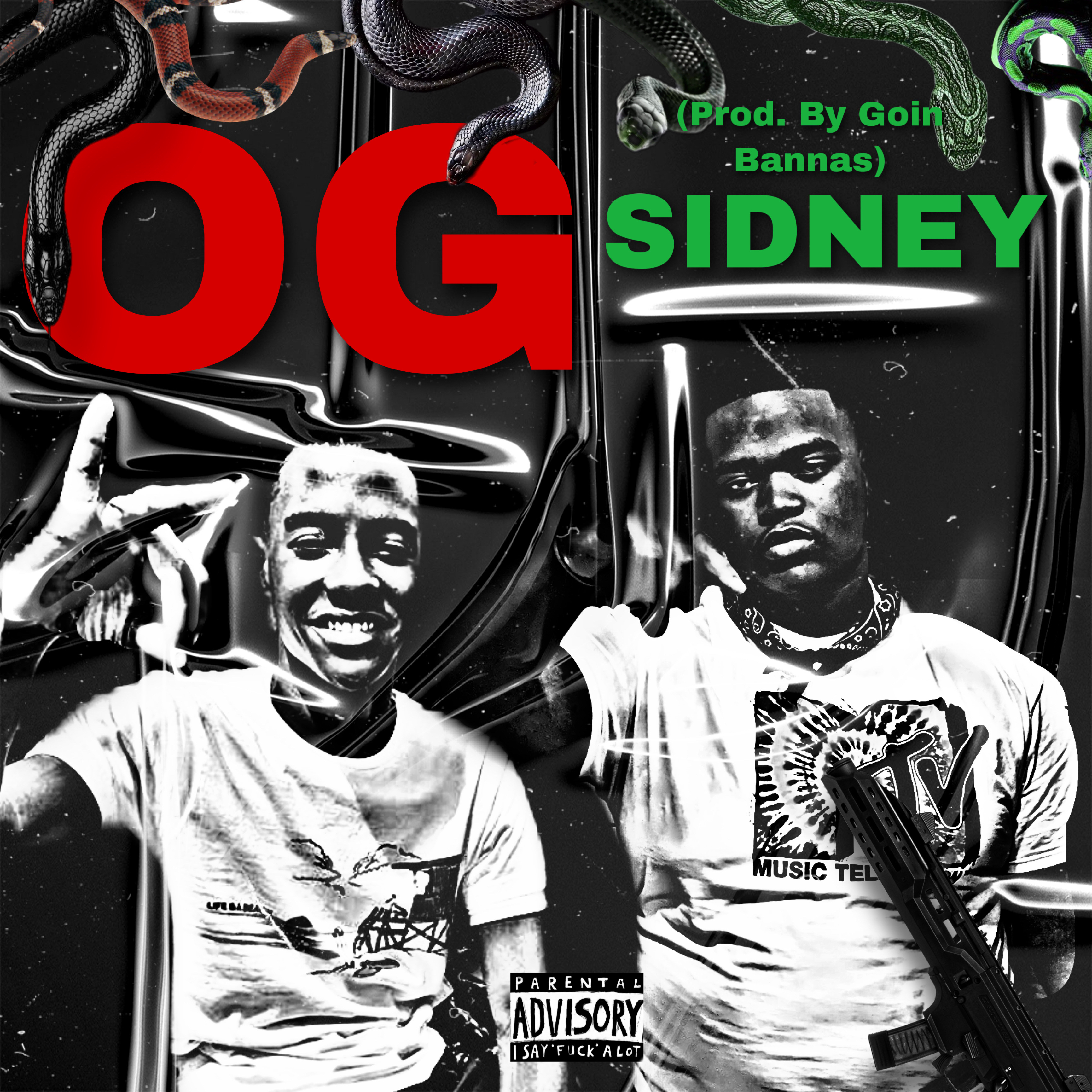 OG SIDNEY artwork