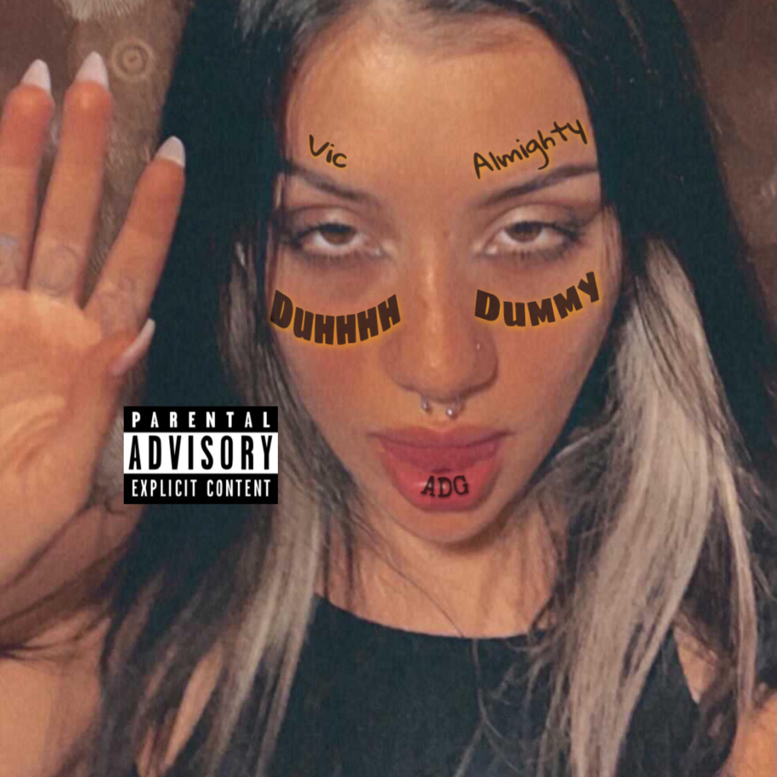 Duhhhh Dummy artwork