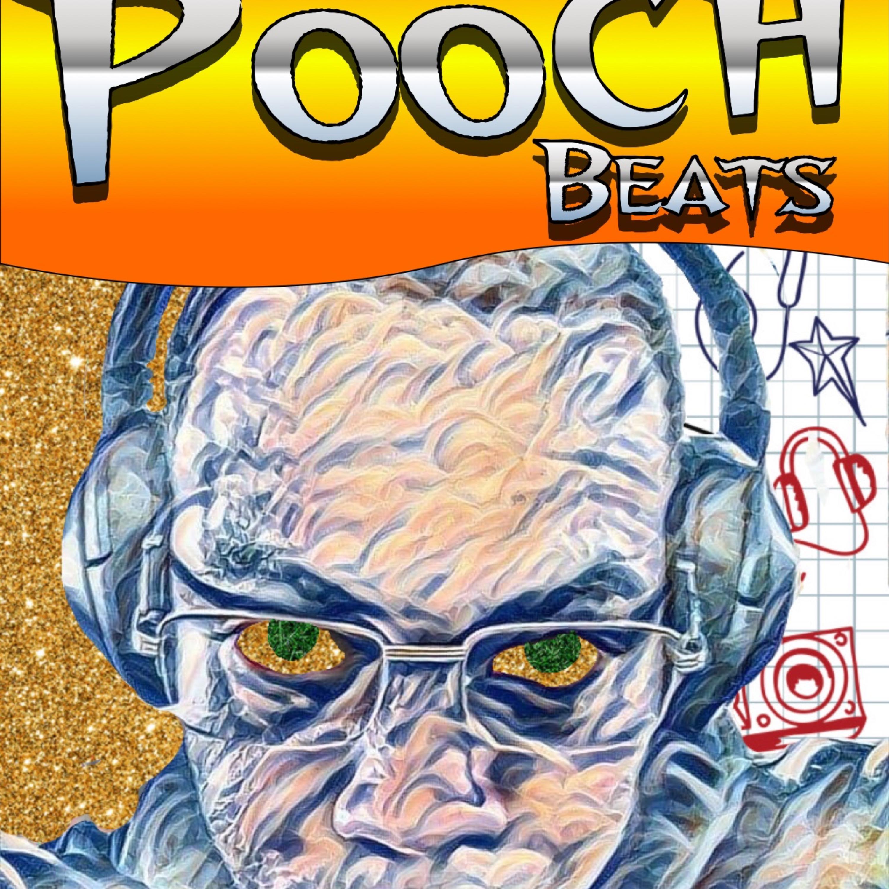 The Introuduction Of PB artwork